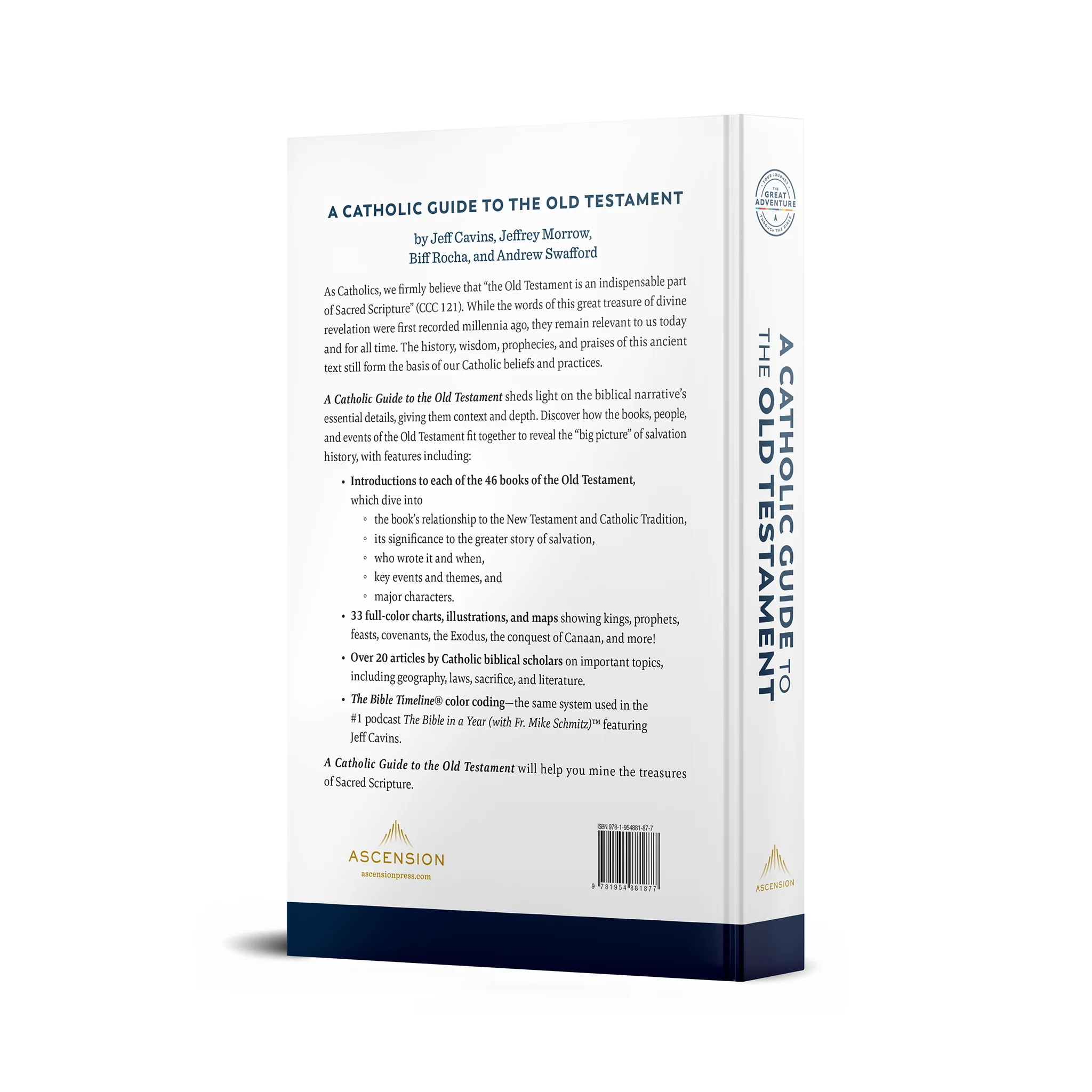 A Catholic Guide to the Old Testament - Image 3