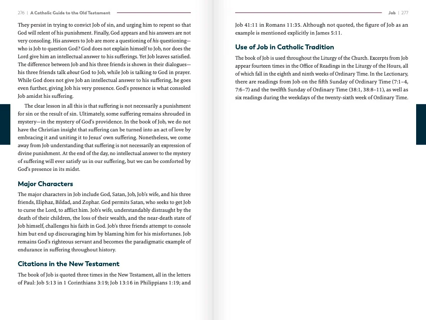 A Catholic Guide to the Old Testament - Image 5