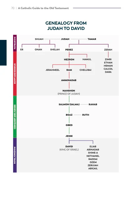 A Catholic Guide to the Old Testament - Image 6