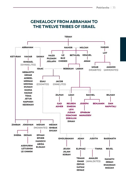 A Catholic Guide to the Old Testament - Image 8