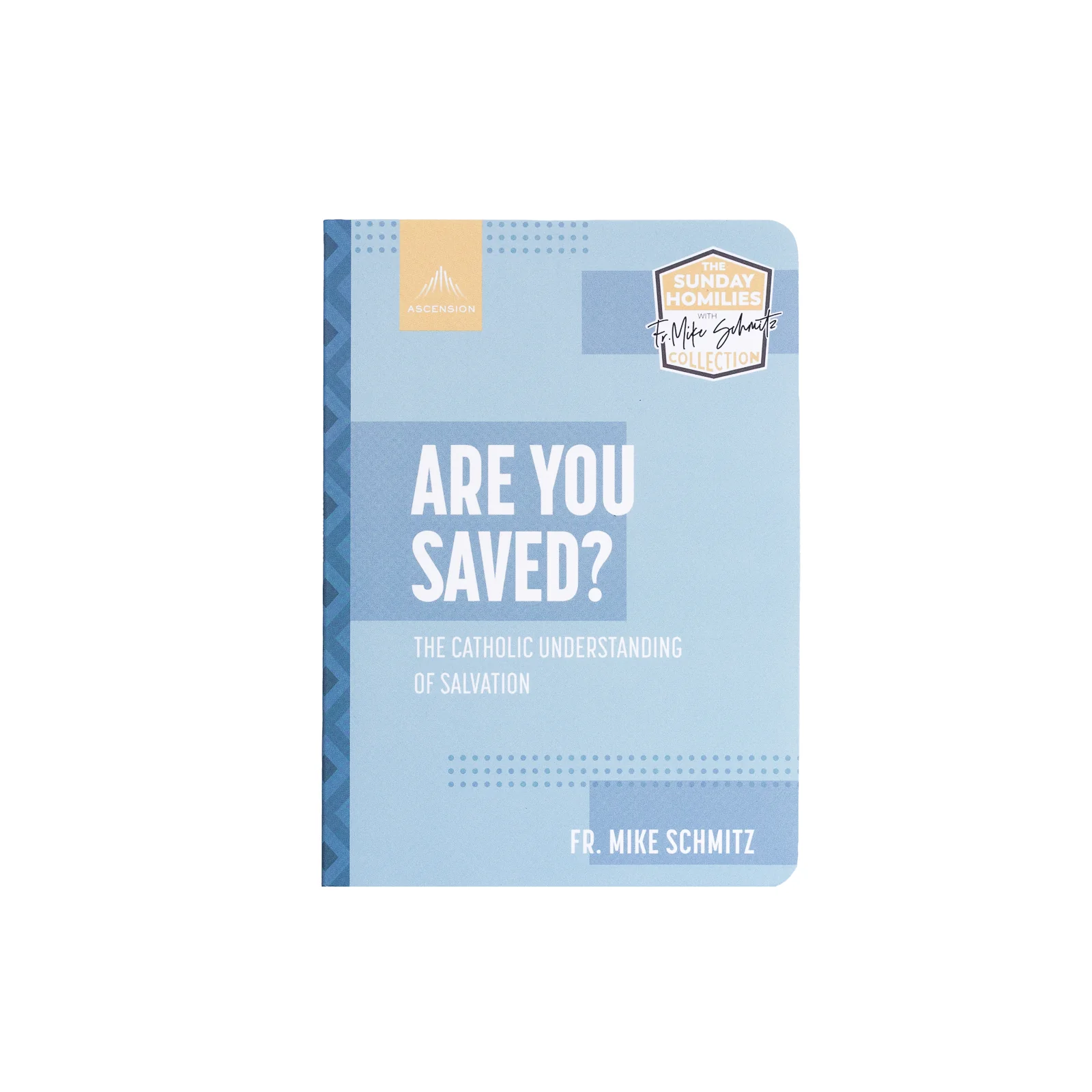 Are You Saved? The Catholic Understanding of Salvation - Image 9