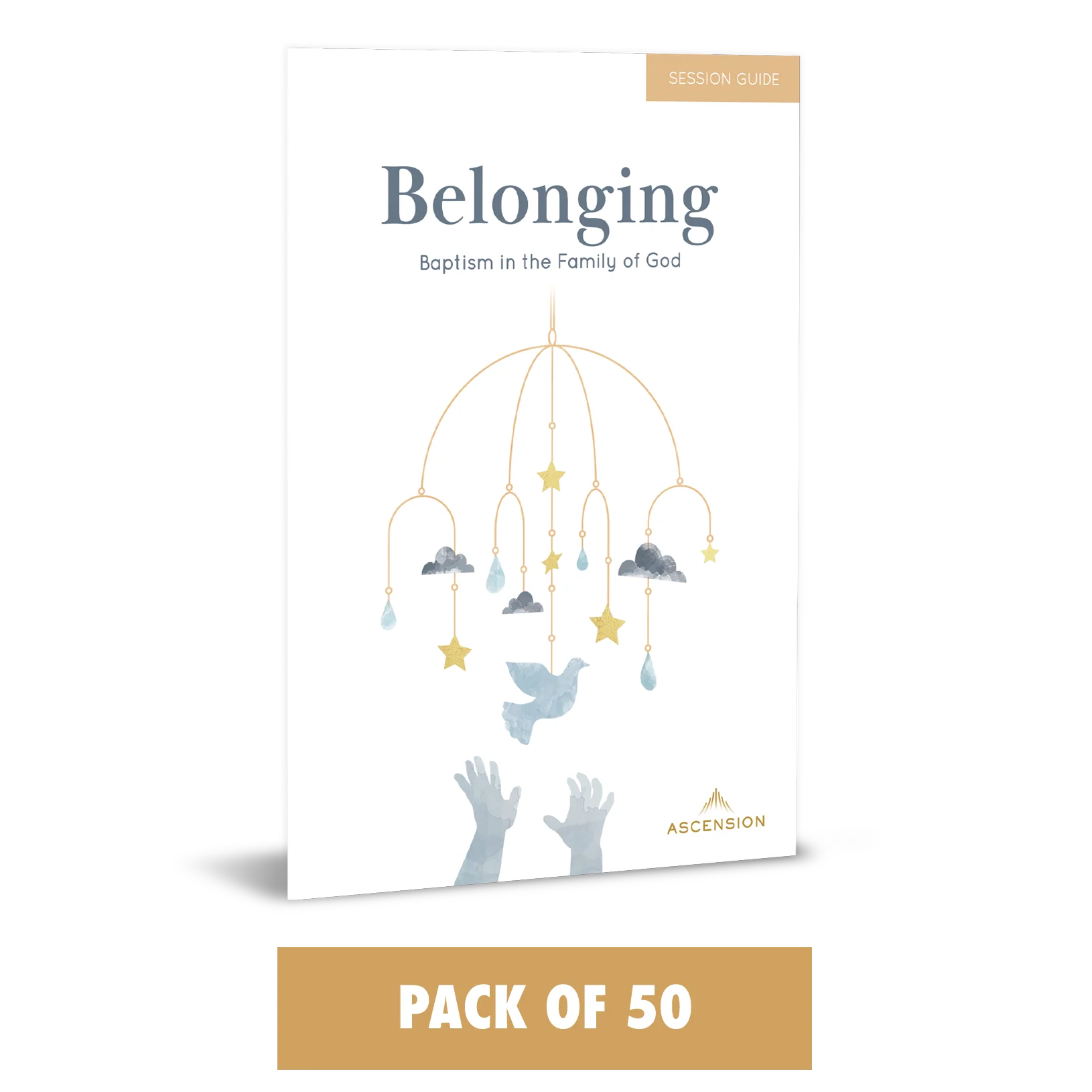 Belonging: Baptism in the Family of God, Session Guide - Image 12
