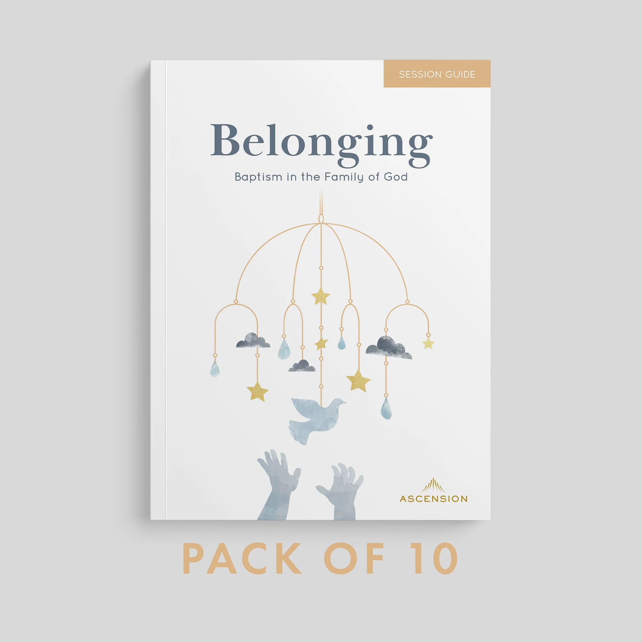 Belonging: Baptism in the Family of God, Session Guide - Image 15