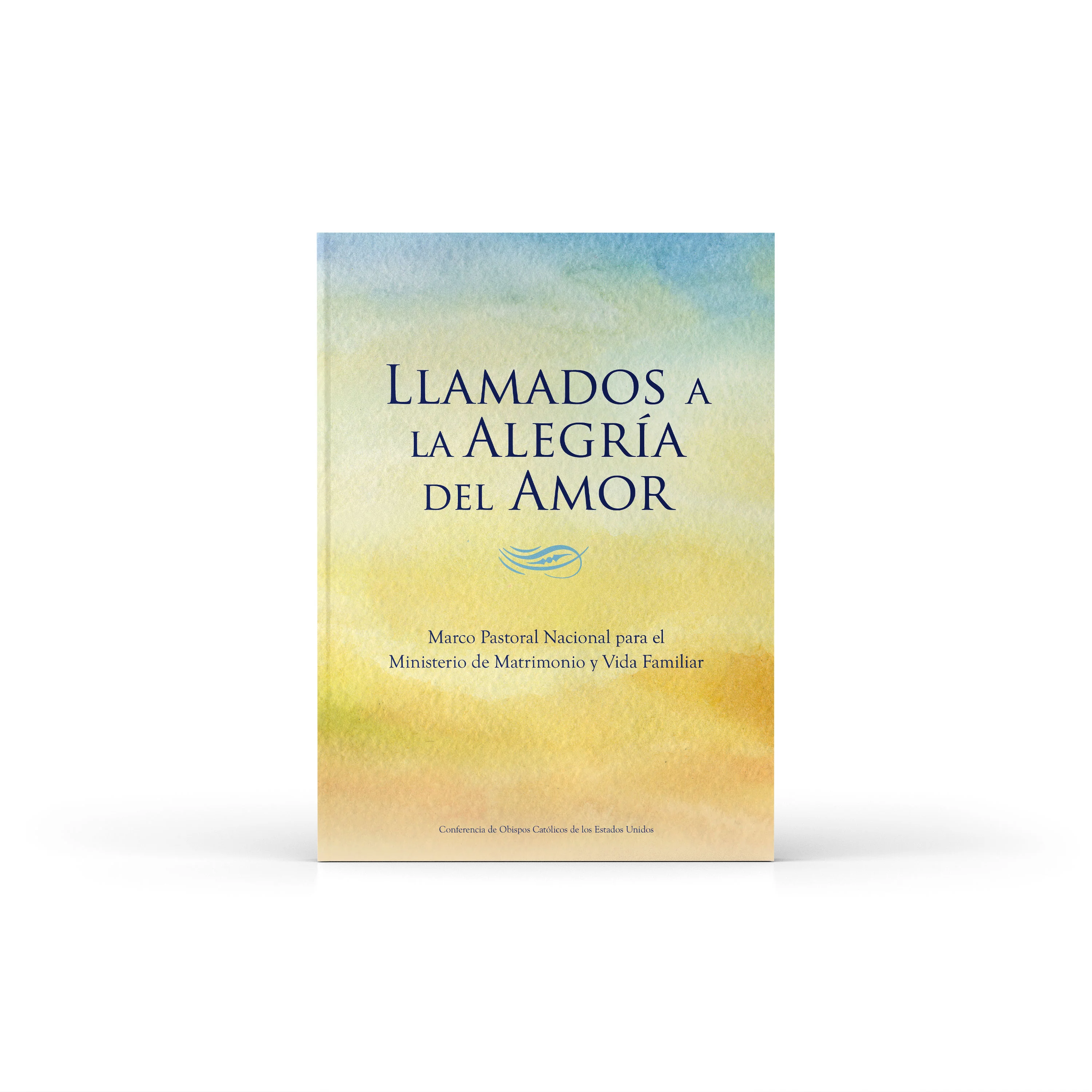 Called to the Joy of Love: A National Pastoral Framework for Marriage and Family Life Ministry - Image 12