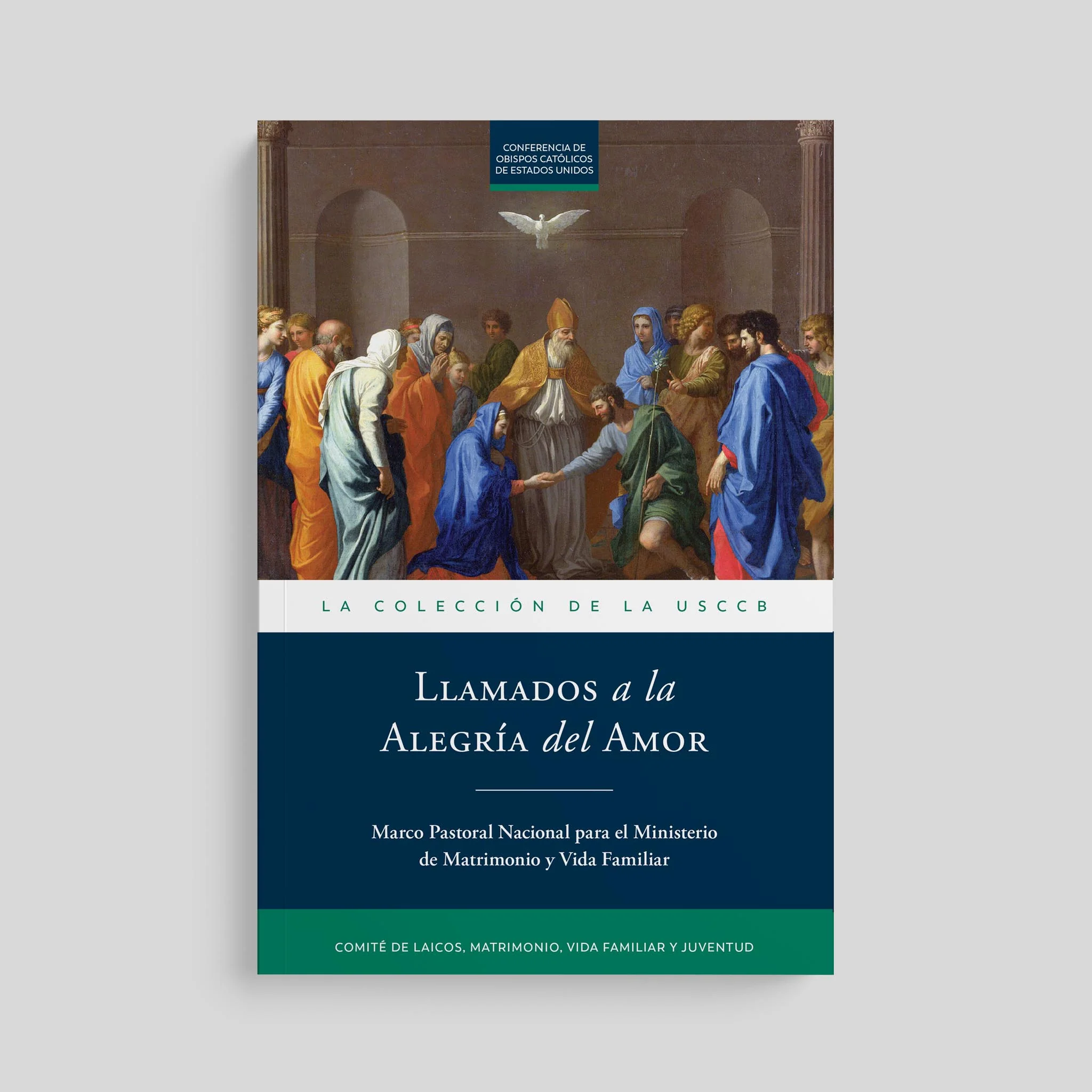 Called to the Joy of Love: A National Pastoral Framework for Marriage and Family Life Ministry - Image 6