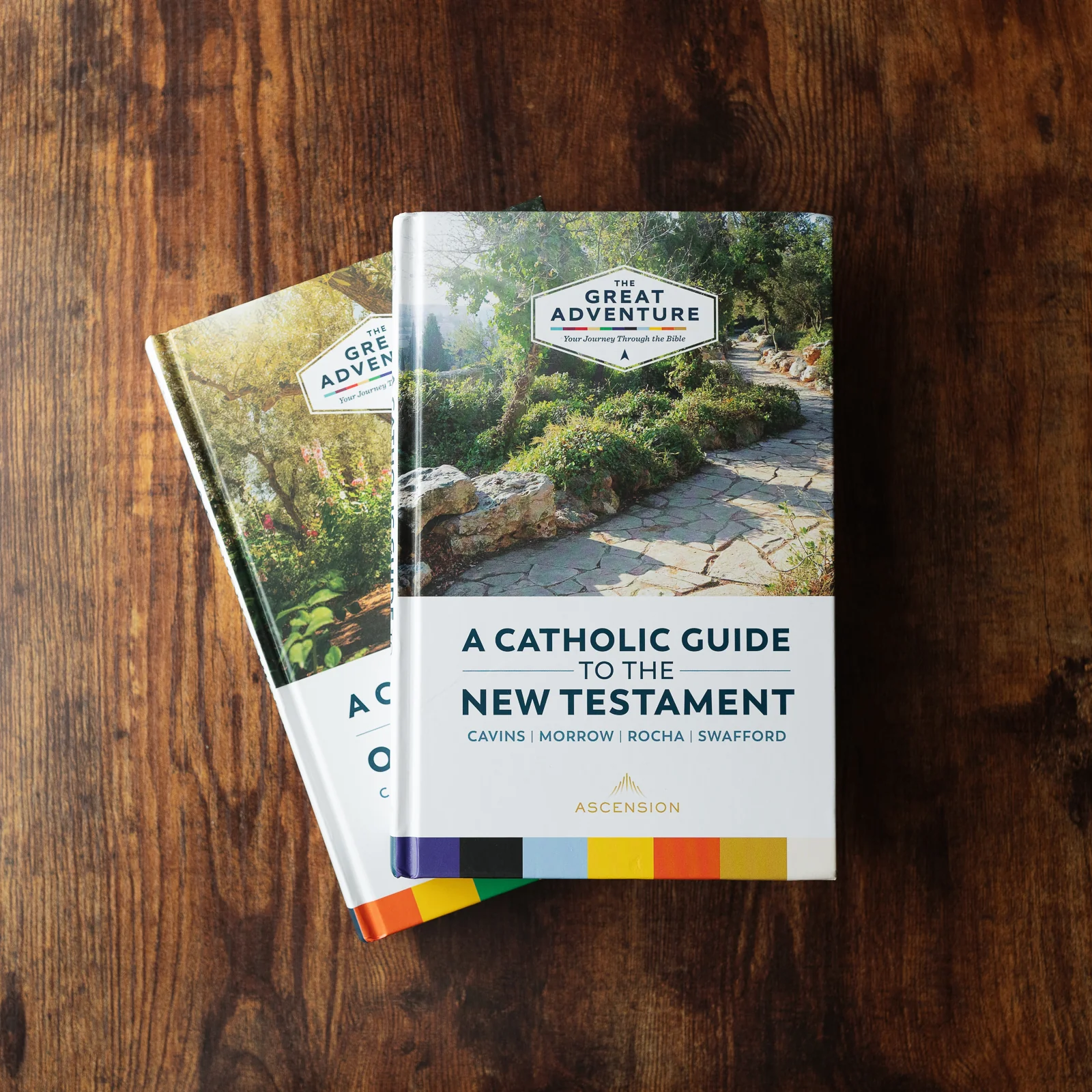 A Catholic Guide to the New Testament - Image 15