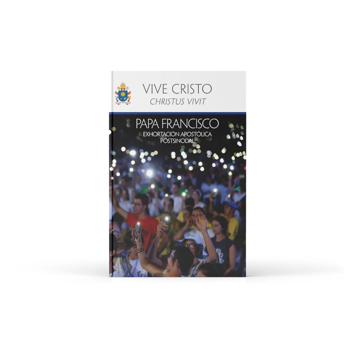 Christ is Alive (Christus Vivit) - Image 3