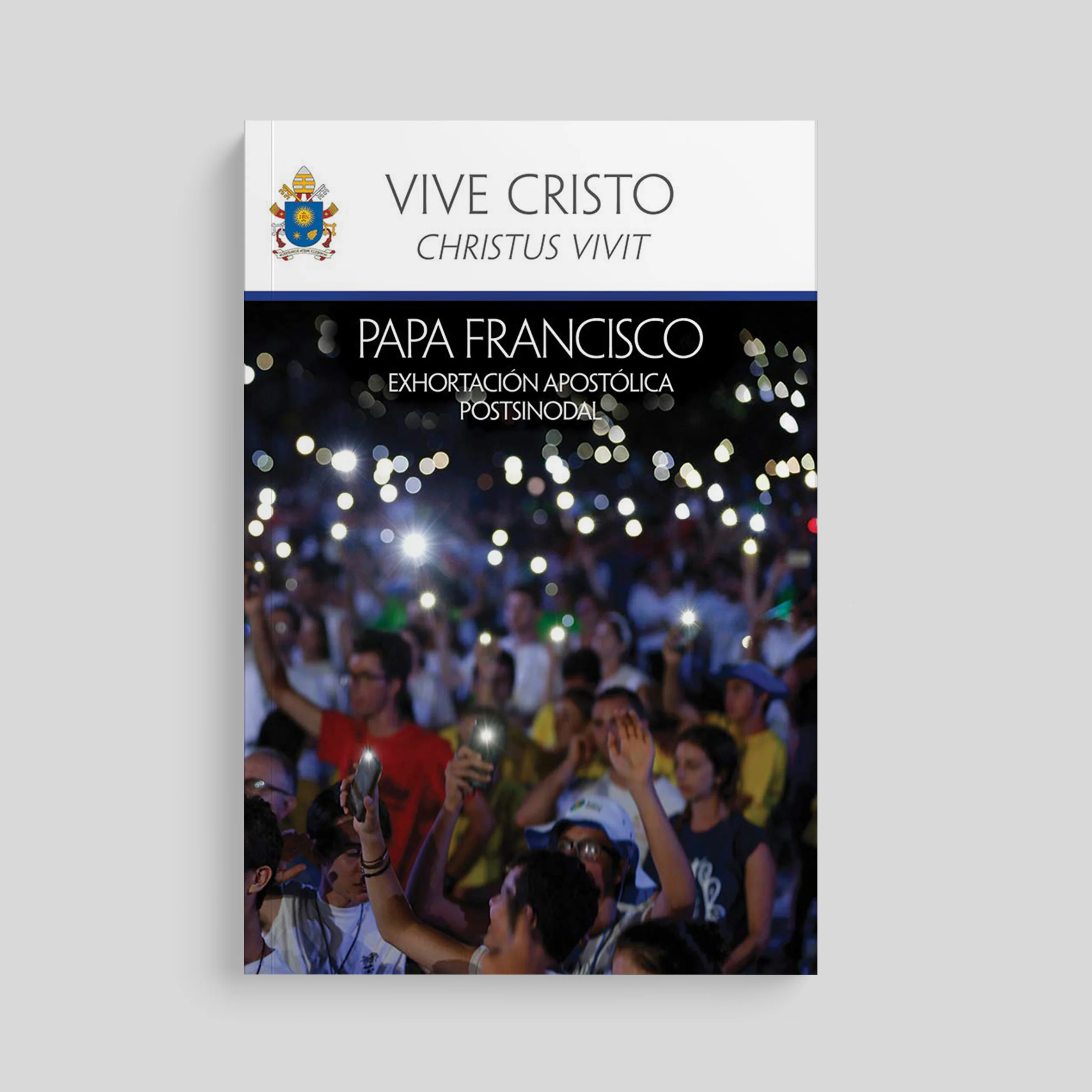 Christ is Alive (Christus Vivit) - Image 4