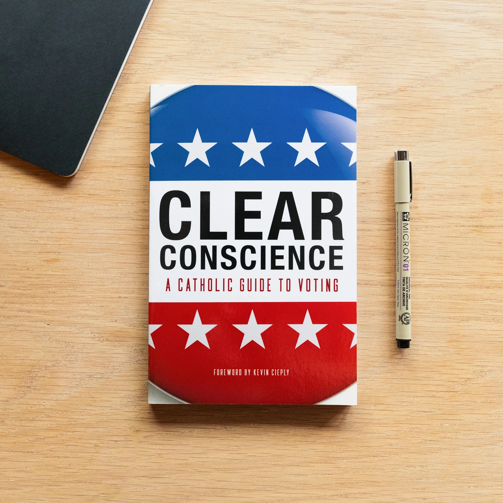 Clear Conscience: A Catholic Guide to Voting - Image 4