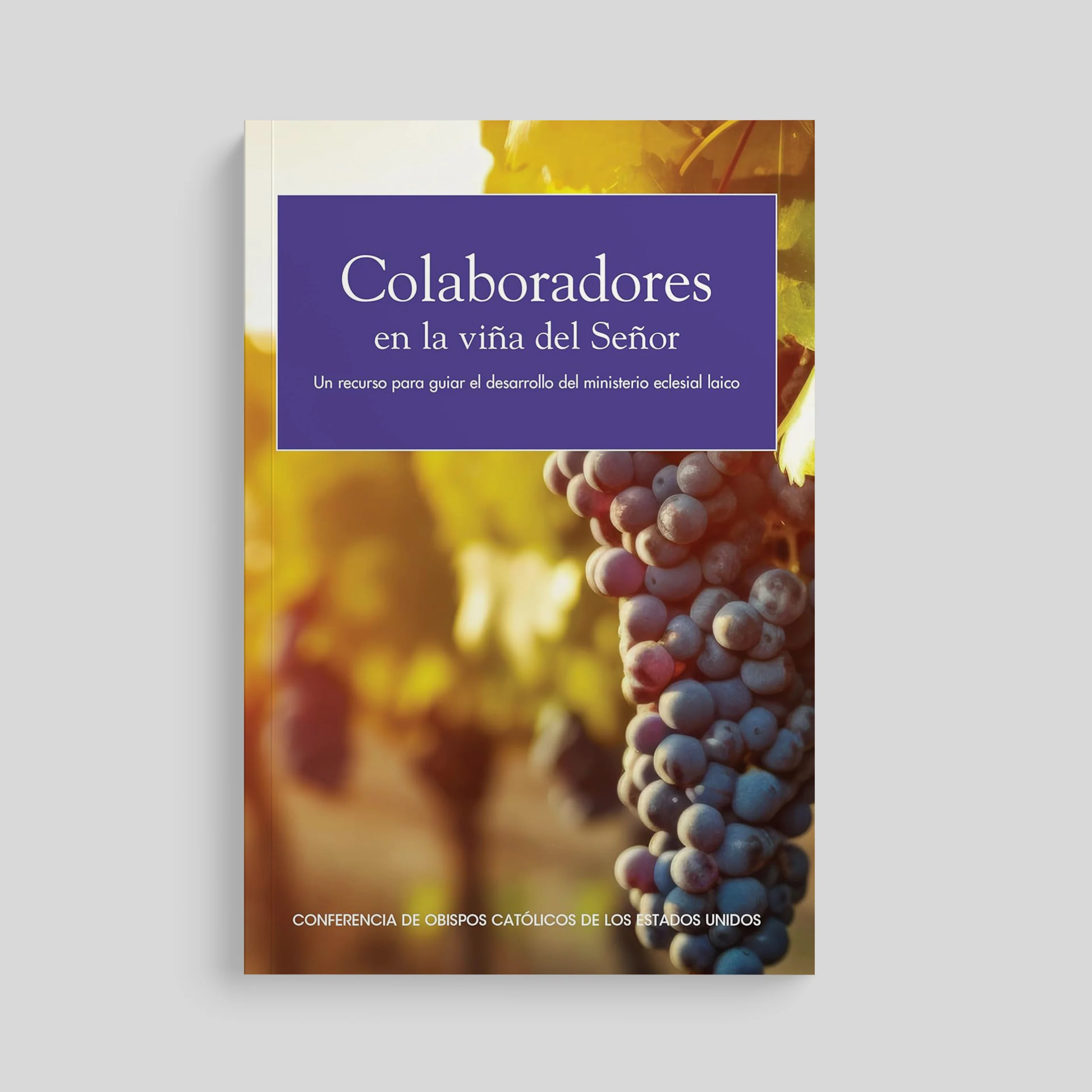 Co-Workers in the Vineyard of the Lord - Image 2