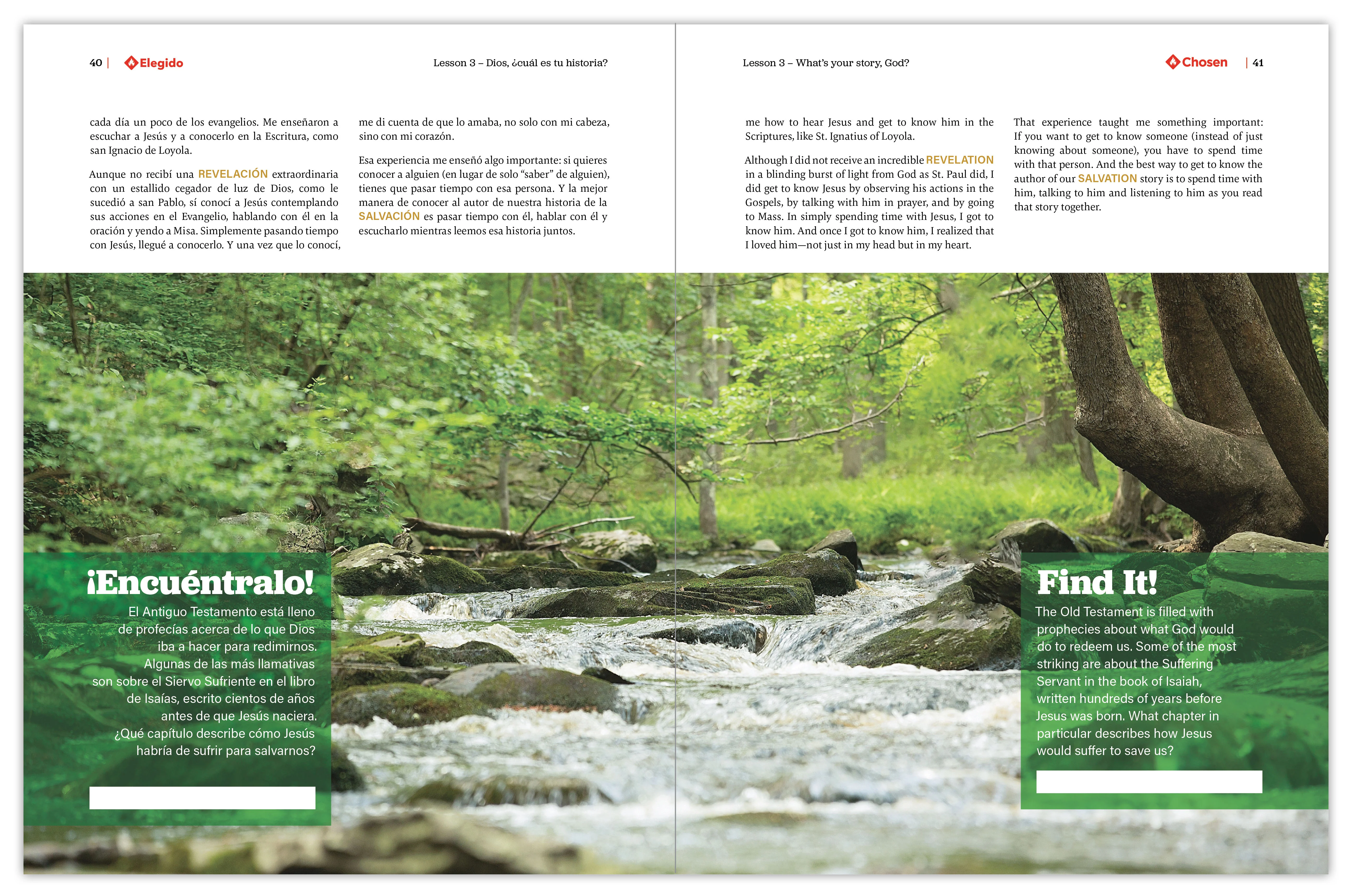 Chosen: Your Journey to Confirmation, Student Pack (Includes Online Course Access) - Image 8