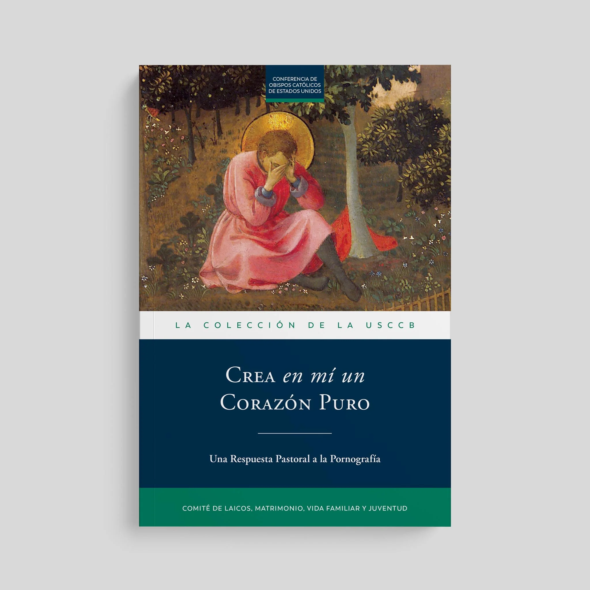 Create in Me a Pure Heart: A Pastoral Response to Pornography - Image 6