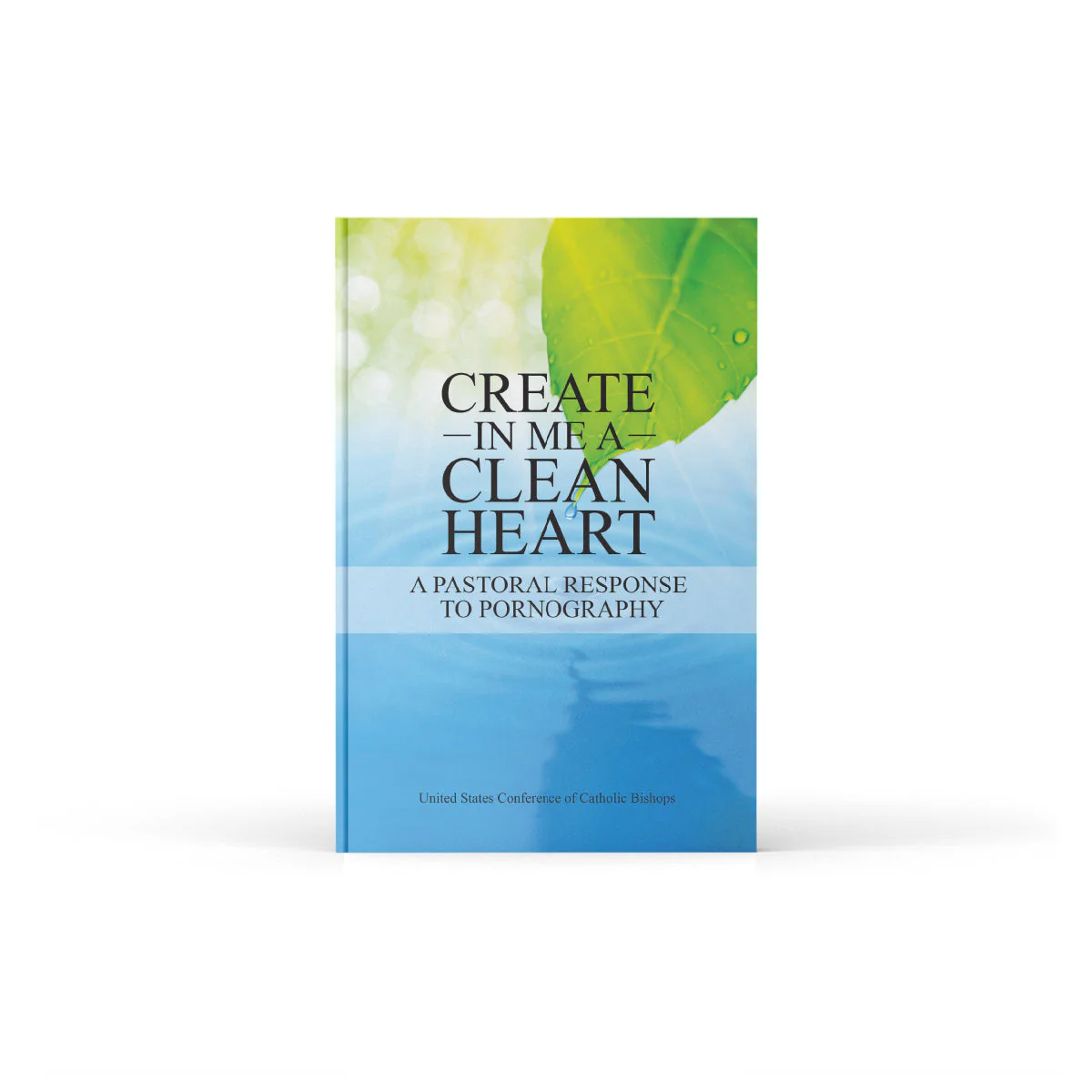 Create in Me a Pure Heart: A Pastoral Response to Pornography - Image 7