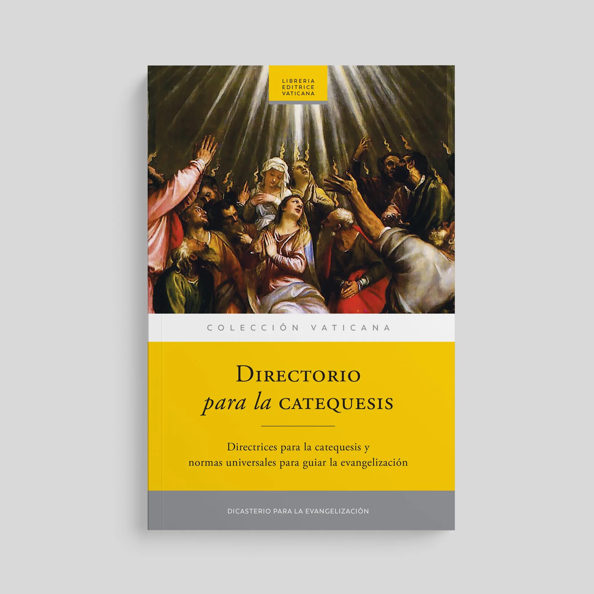 Directory for Catechesis - Image 6