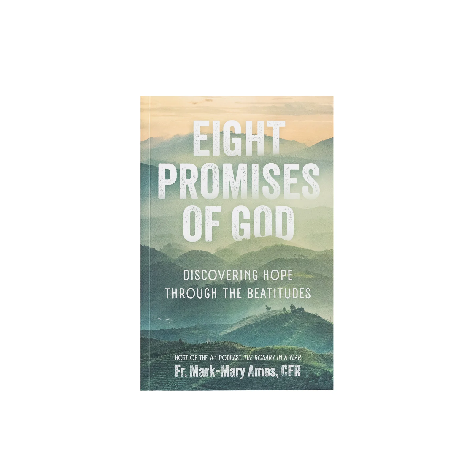 Eight Promises of God: Discovering Hope Through the Beatitudes - Image 3
