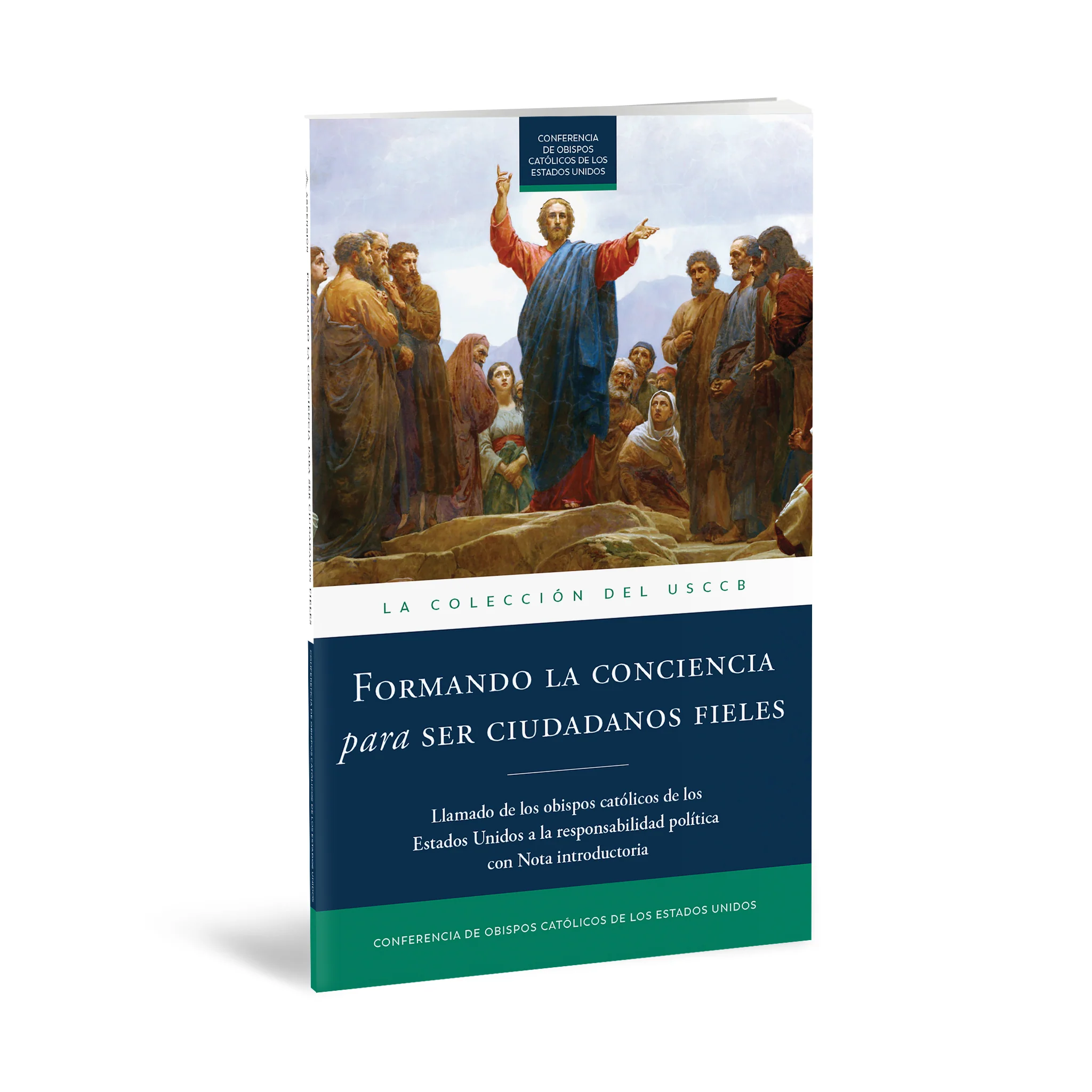 Forming Consciences for Faithful Citizenship: A Call to Political Responsibility - Image 10
