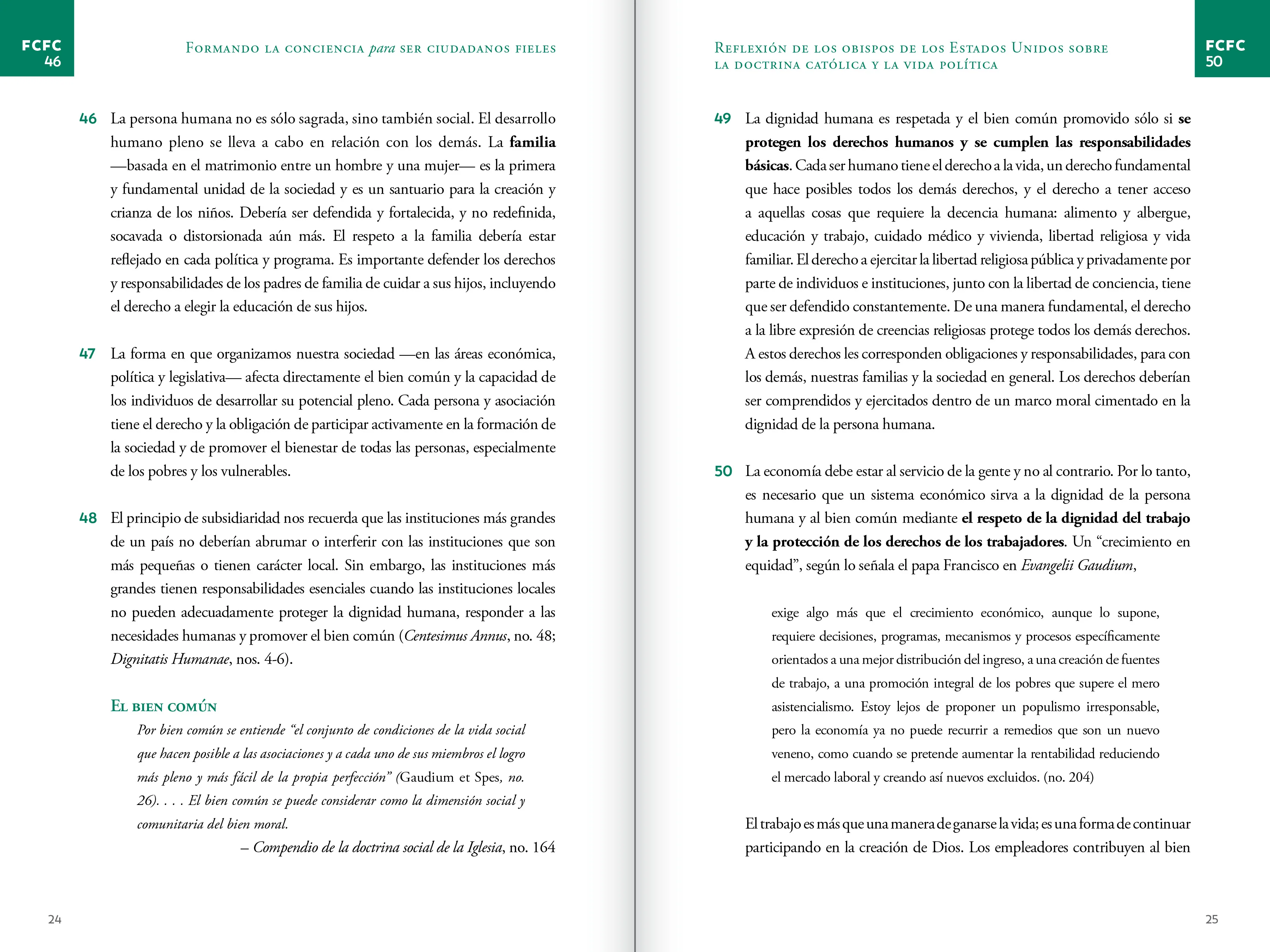 Forming Consciences for Faithful Citizenship: A Call to Political Responsibility - Image 12