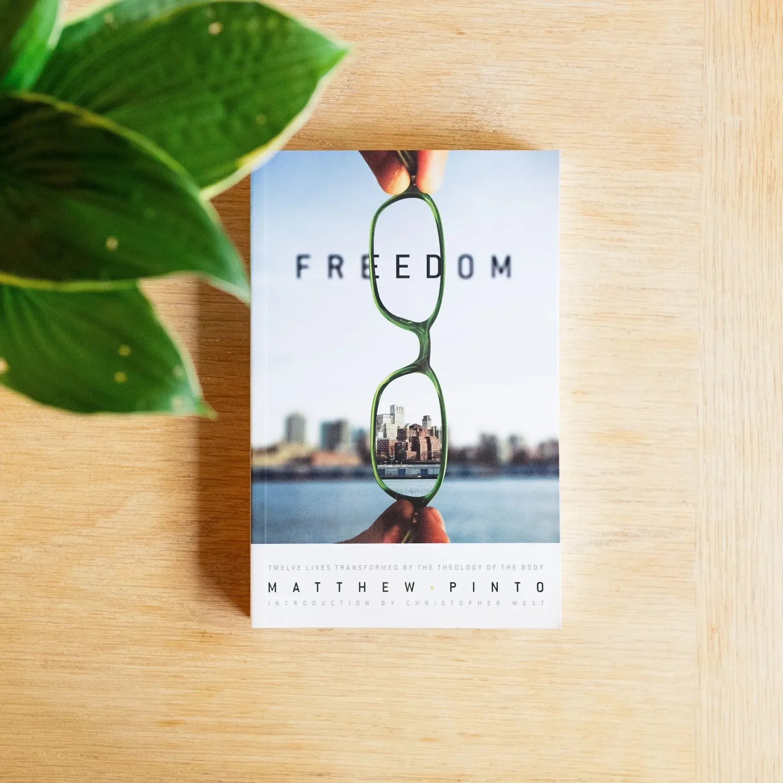 Freedom: 12 Lives Transformed by the Theology of the Body - Image 4