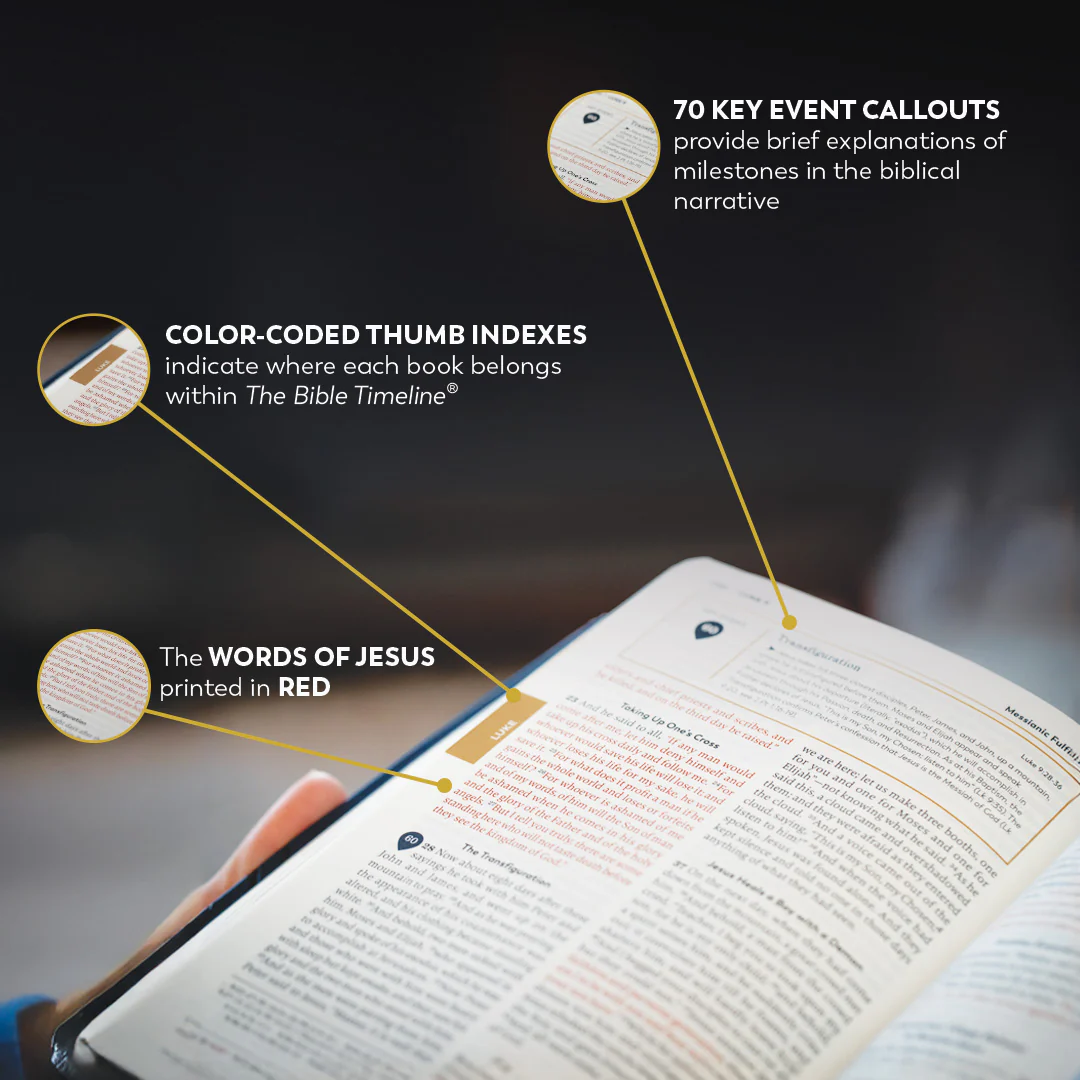 Holy Bible - The Great Adventure Catholic Bible, Second Edition - Image 14
