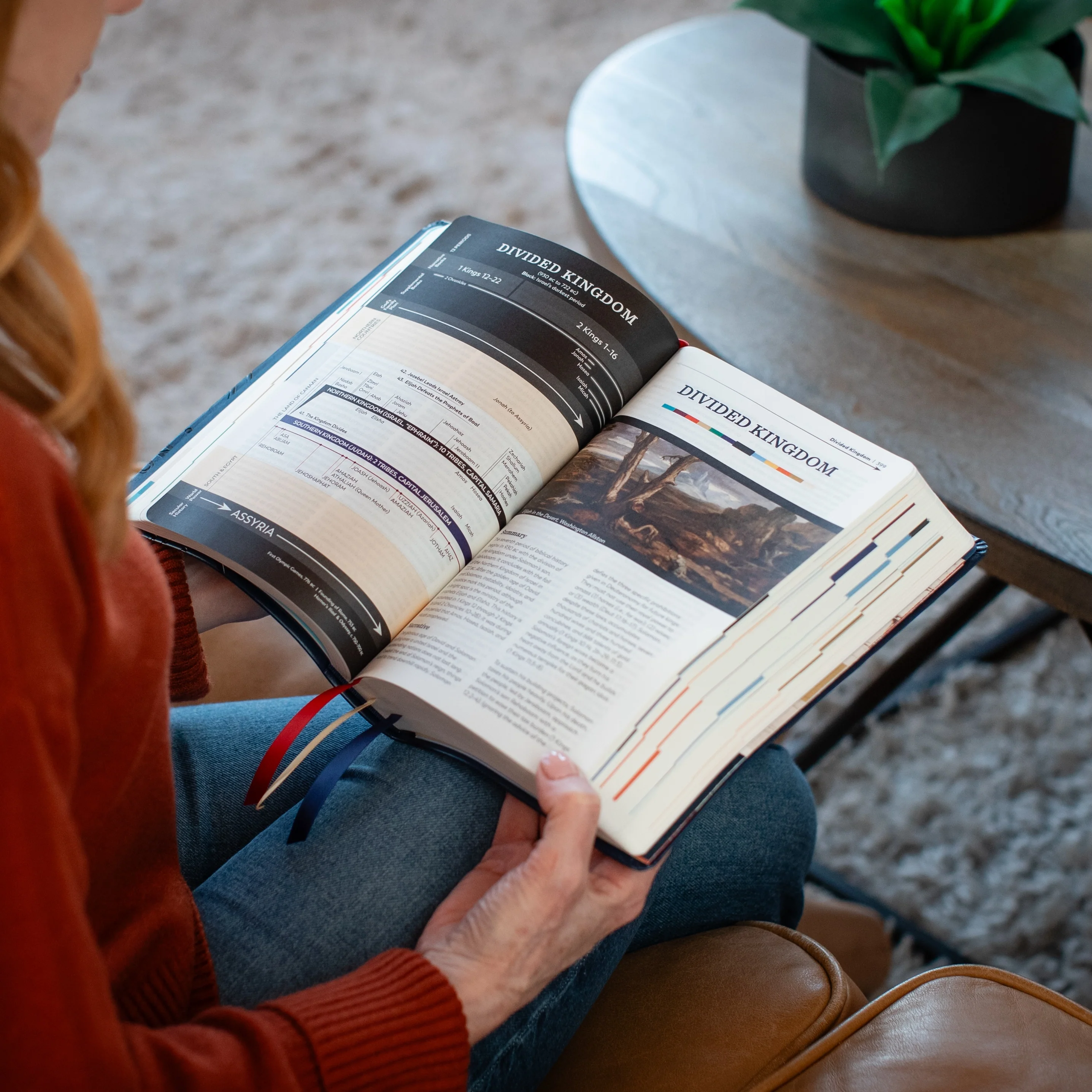 Holy Bible - The Great Adventure Catholic Bible, Second Edition - Image 18