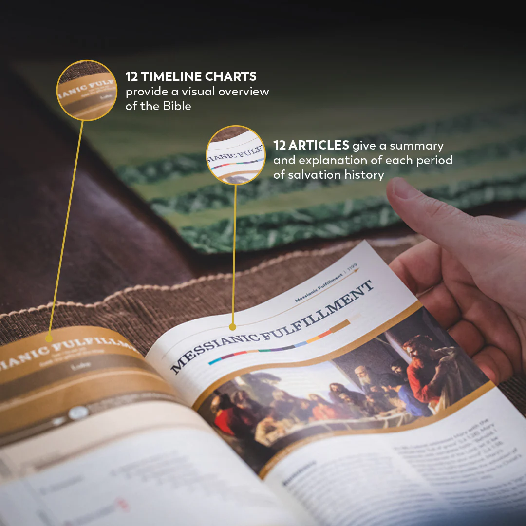 Holy Bible - The Great Adventure Catholic Bible, Second Edition - Image 31