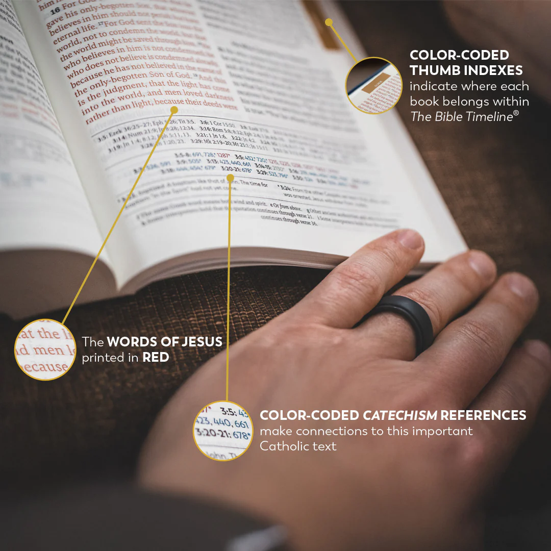 Holy Bible - The Great Adventure Catholic Bible, Second Edition - Image 32