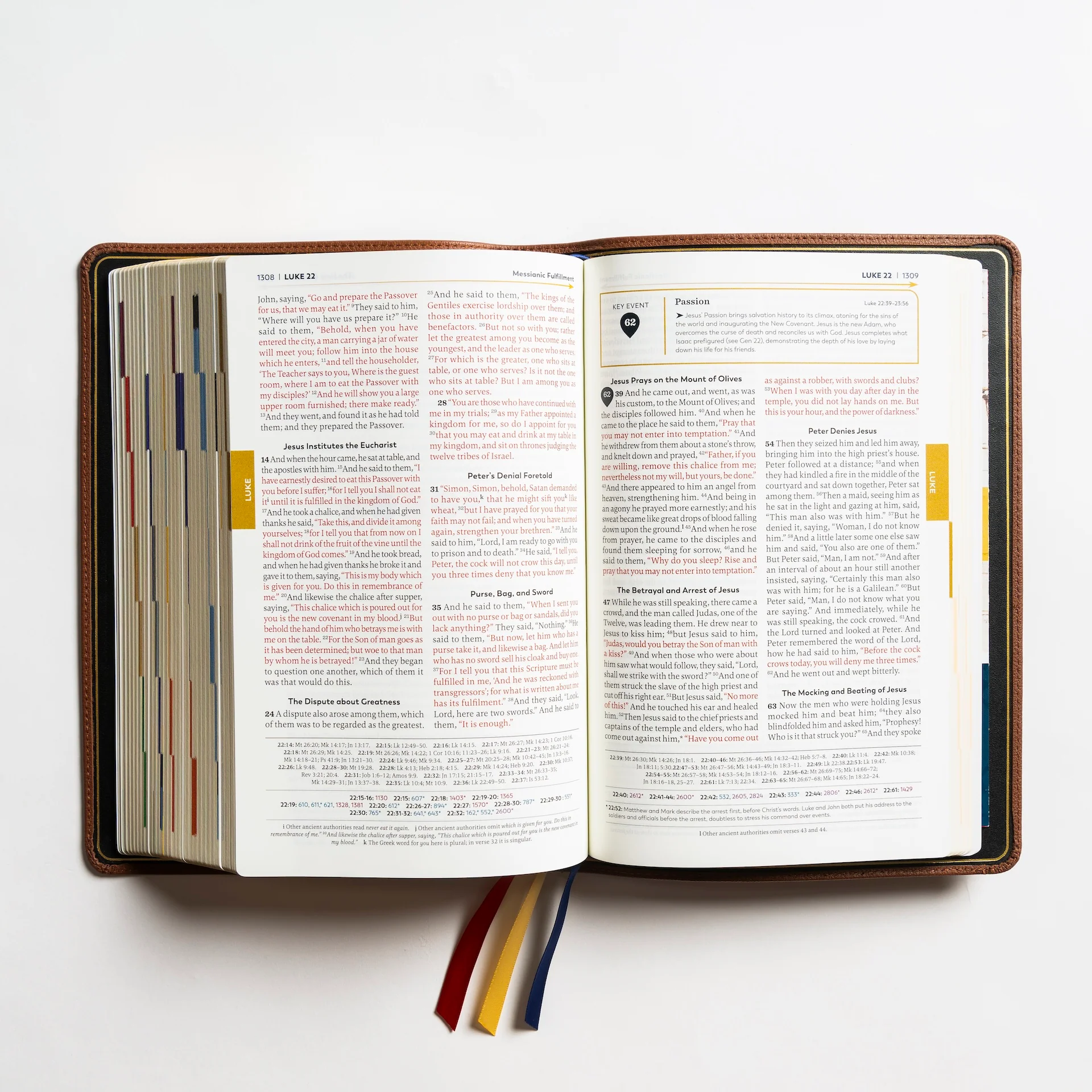 Holy Bible - The Great Adventure Catholic Bible, Second Edition - Image 81