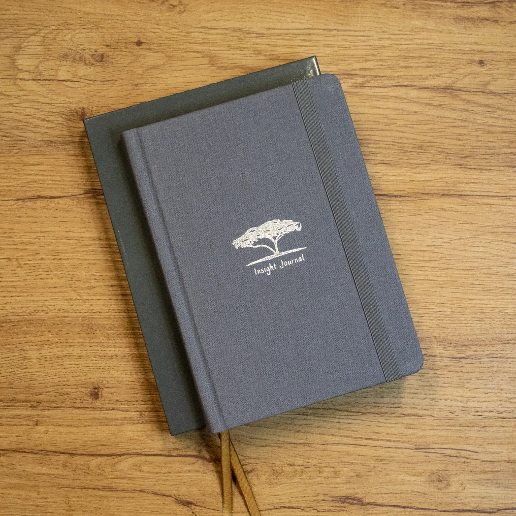 Insight Journal - Image 10
