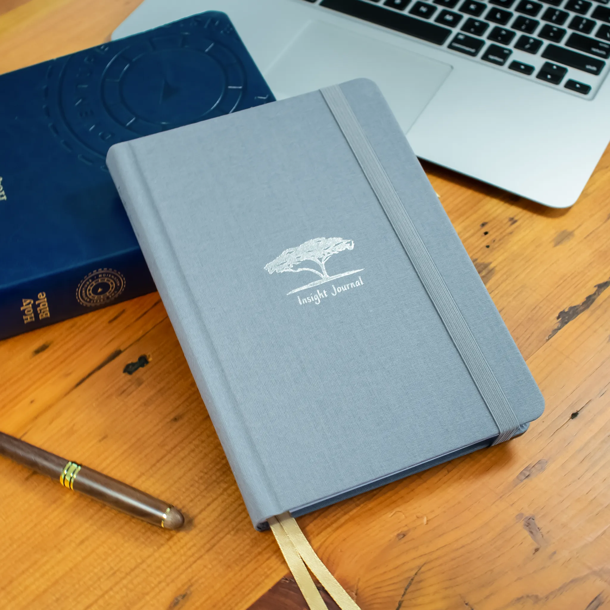 Insight Journal - Image 13