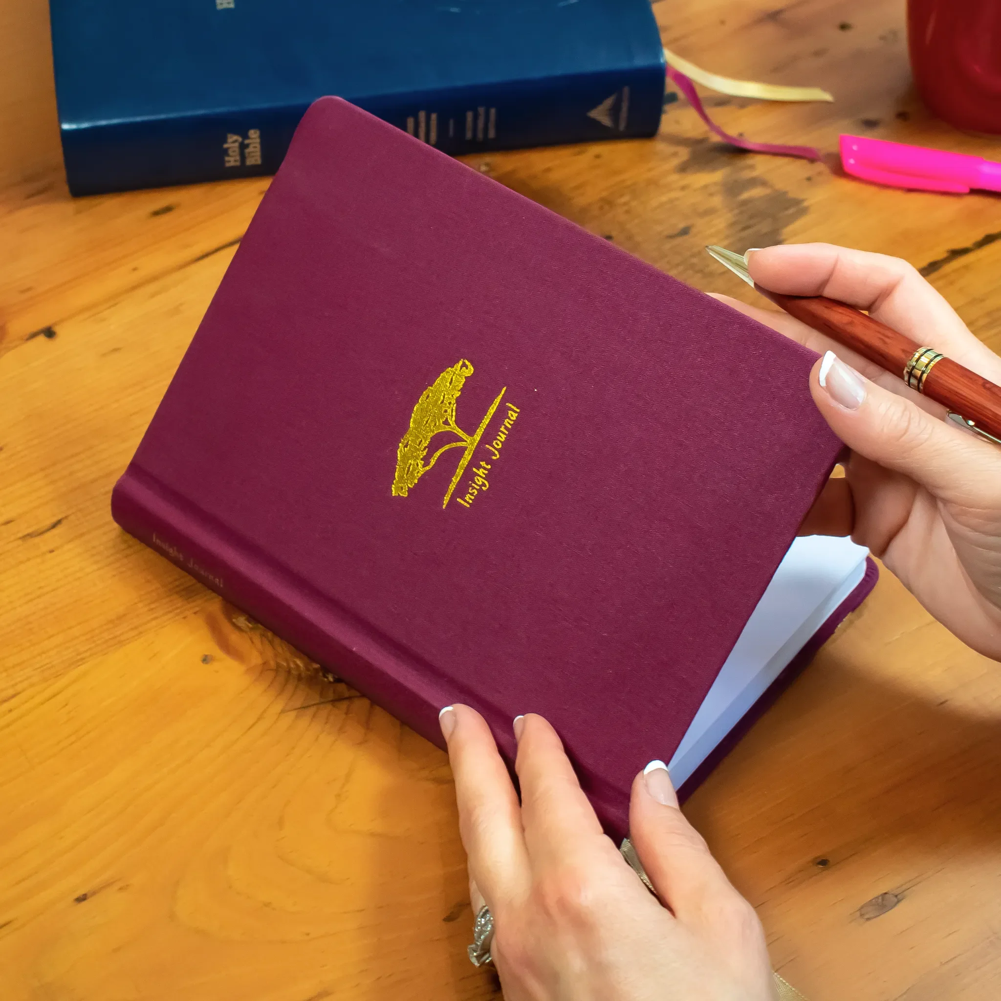 Insight Journal - Image 3