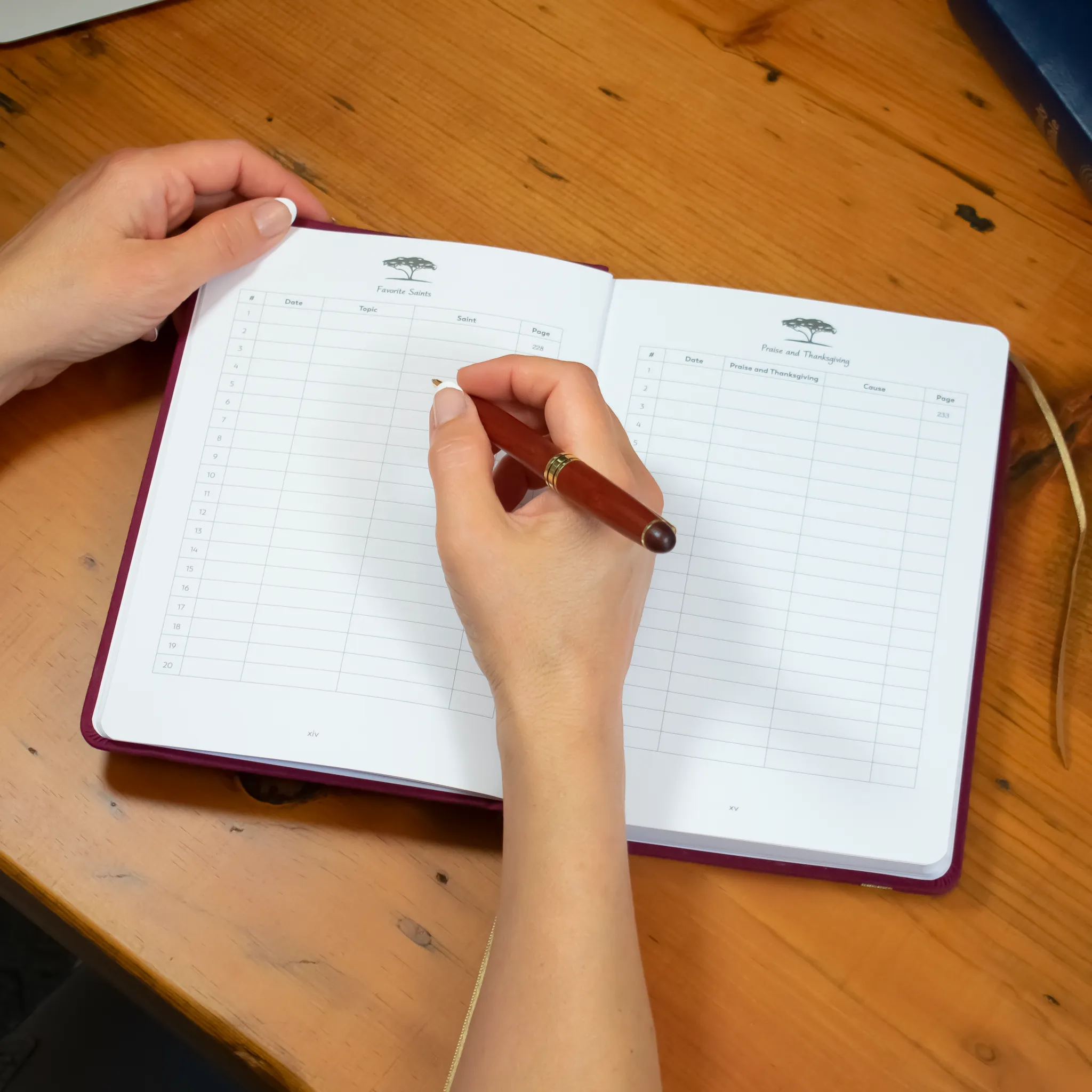 Insight Journal - Image 5