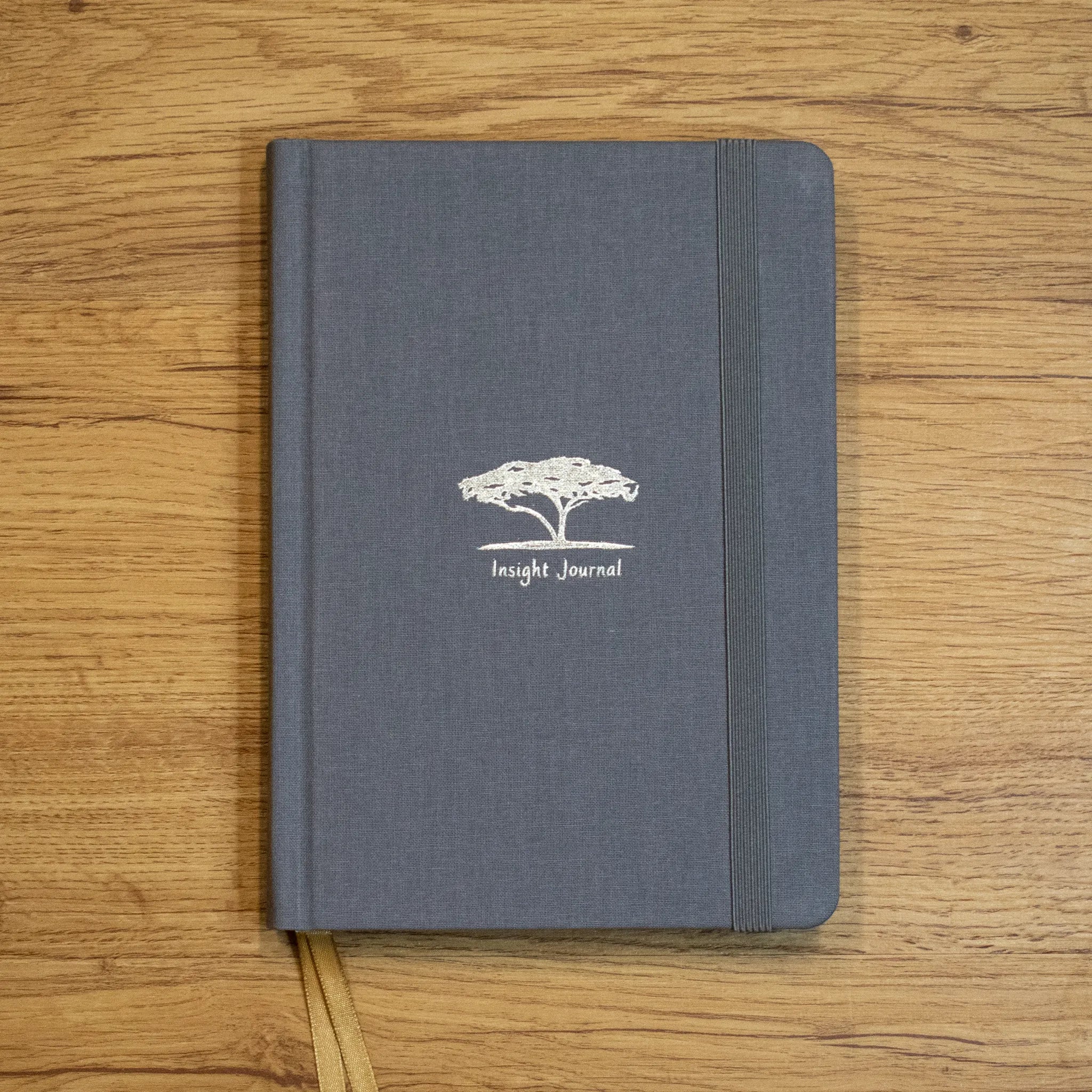 Insight Journal - Image 9