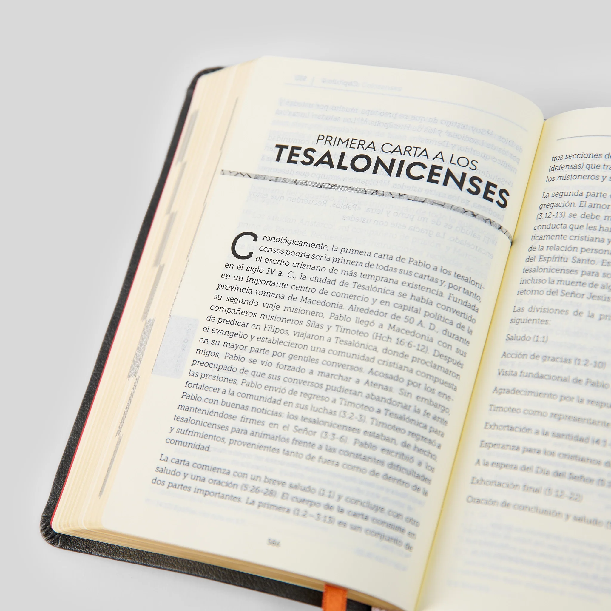La Biblia de la Iglesia en América: Nuevo Testamento - Image 10