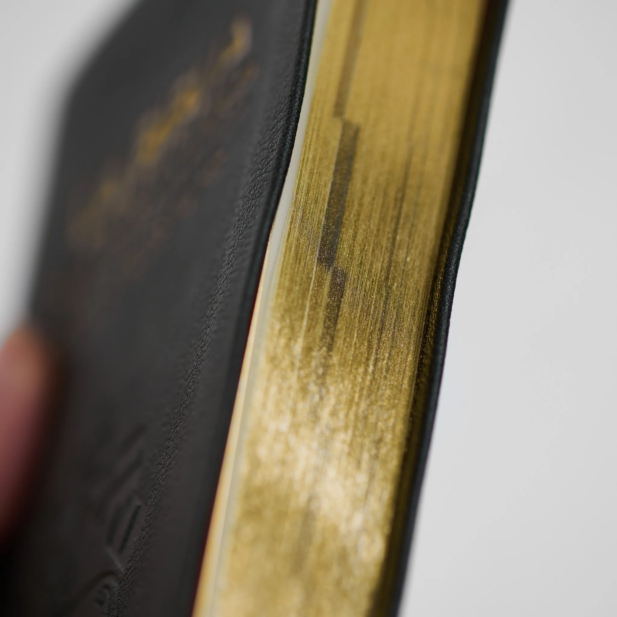 La Biblia de la Iglesia en América: Nuevo Testamento - Image 16