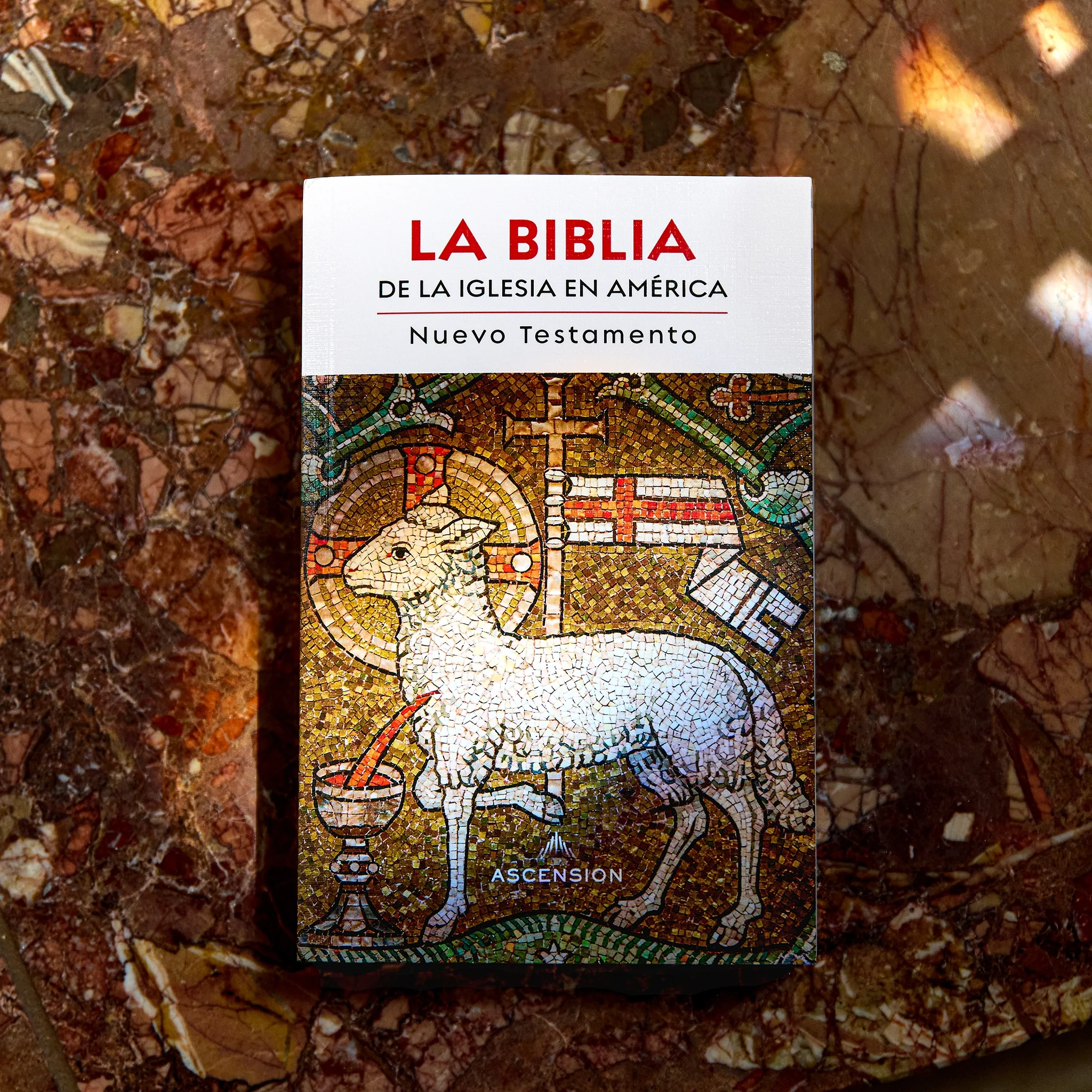 La Biblia de la Iglesia en América: Nuevo Testamento - Image 3
