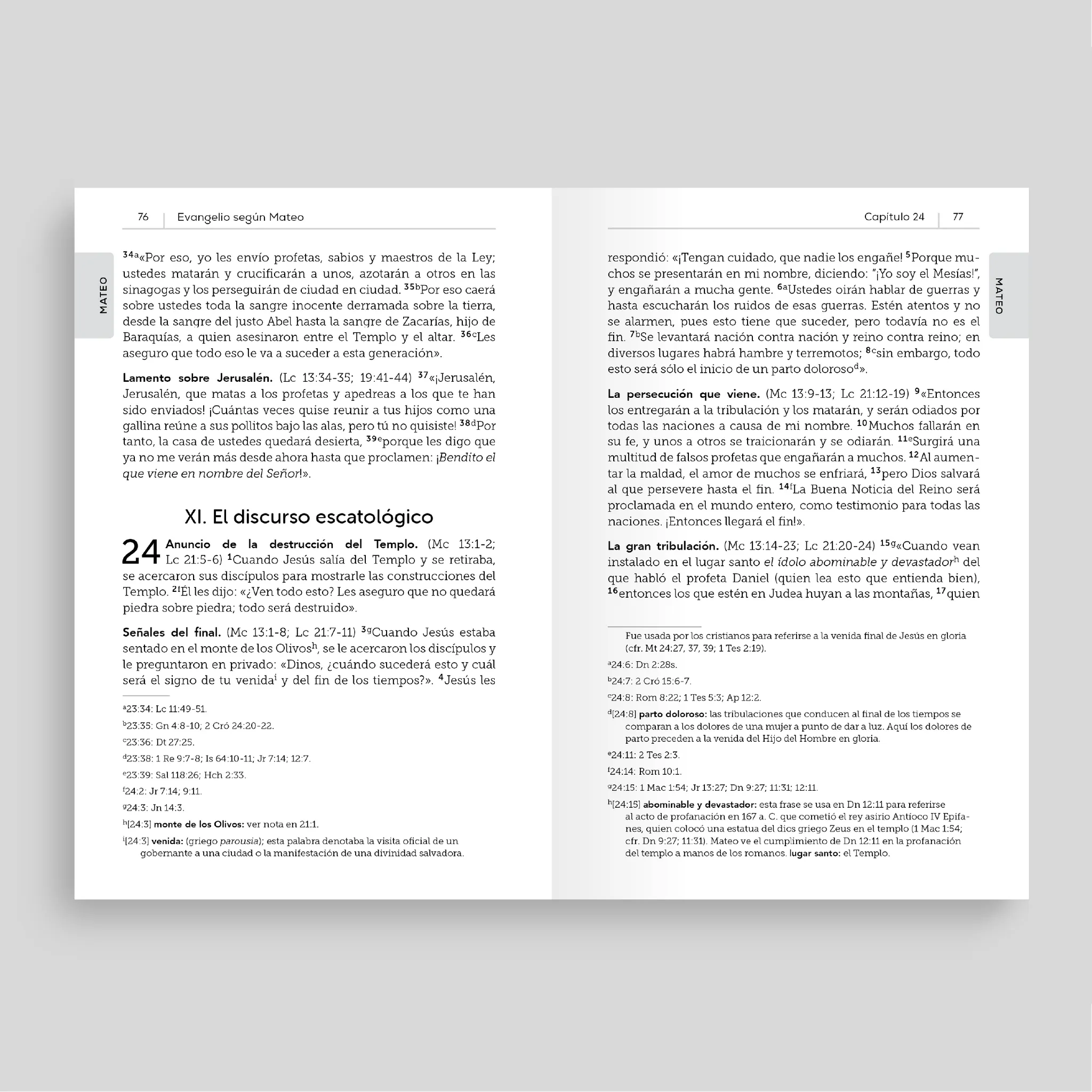 La Biblia de la Iglesia en América: Nuevo Testamento - Image 4