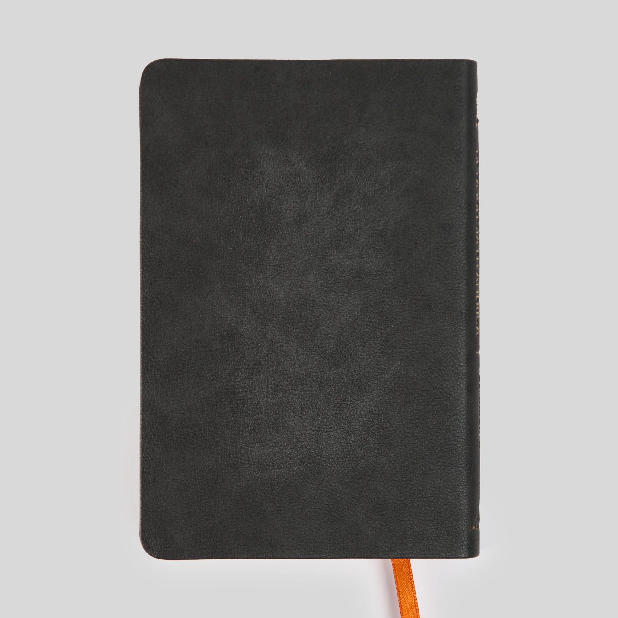 La Biblia de la Iglesia en América: Nuevo Testamento - Image 8