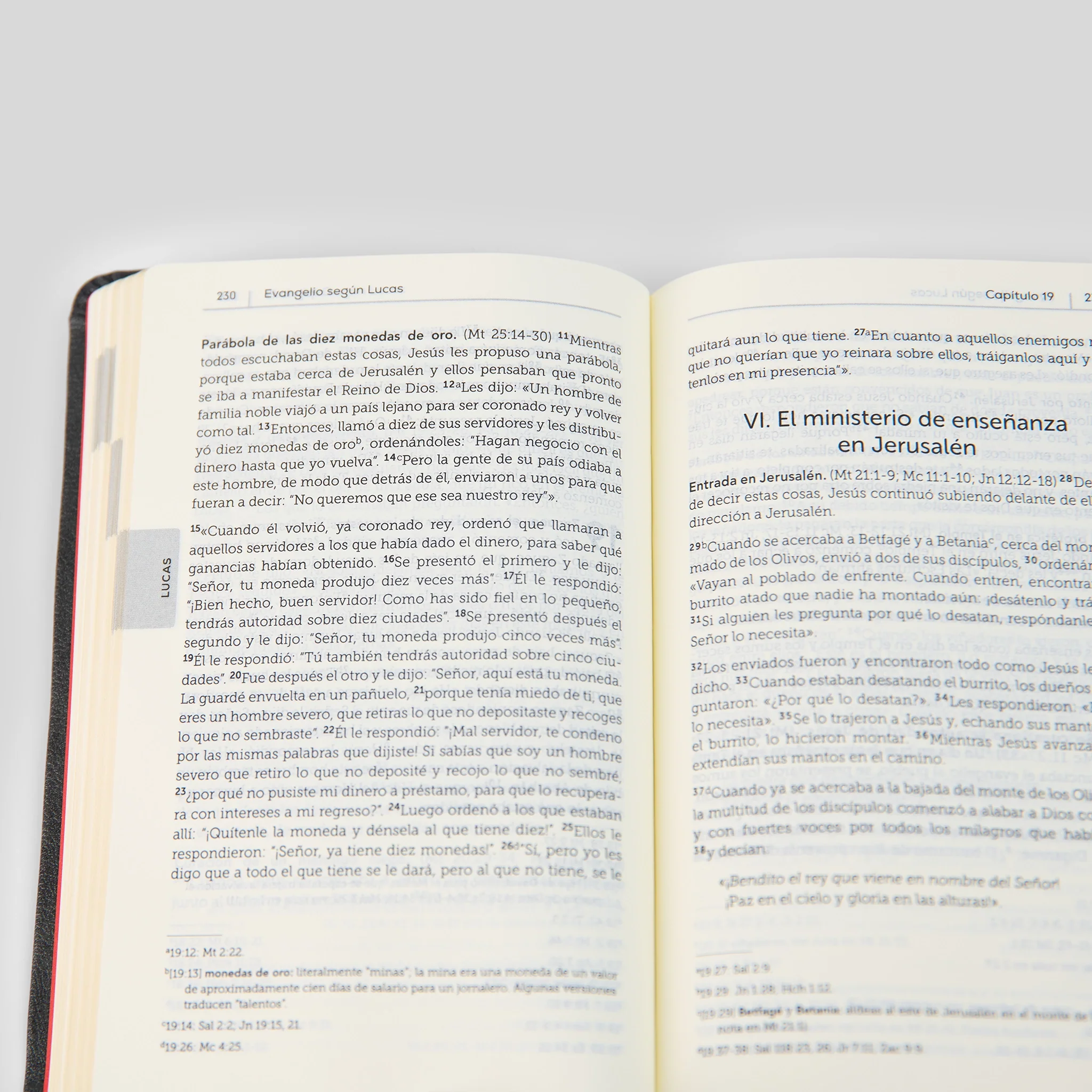 La Biblia de la Iglesia en América: Nuevo Testamento - Image 9