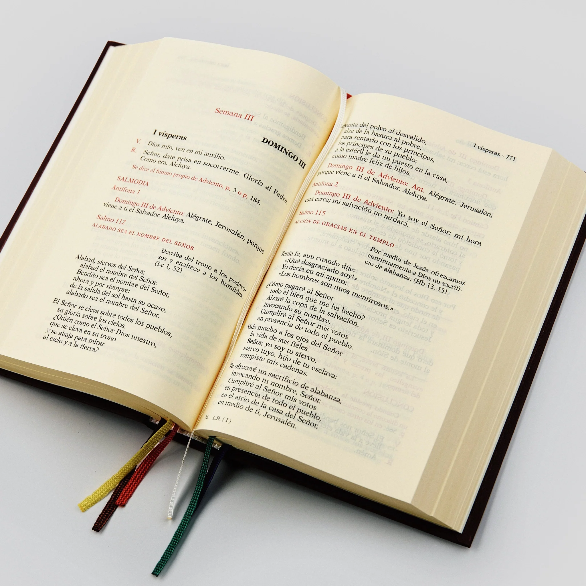 Liturgy of the Hours - Image 16