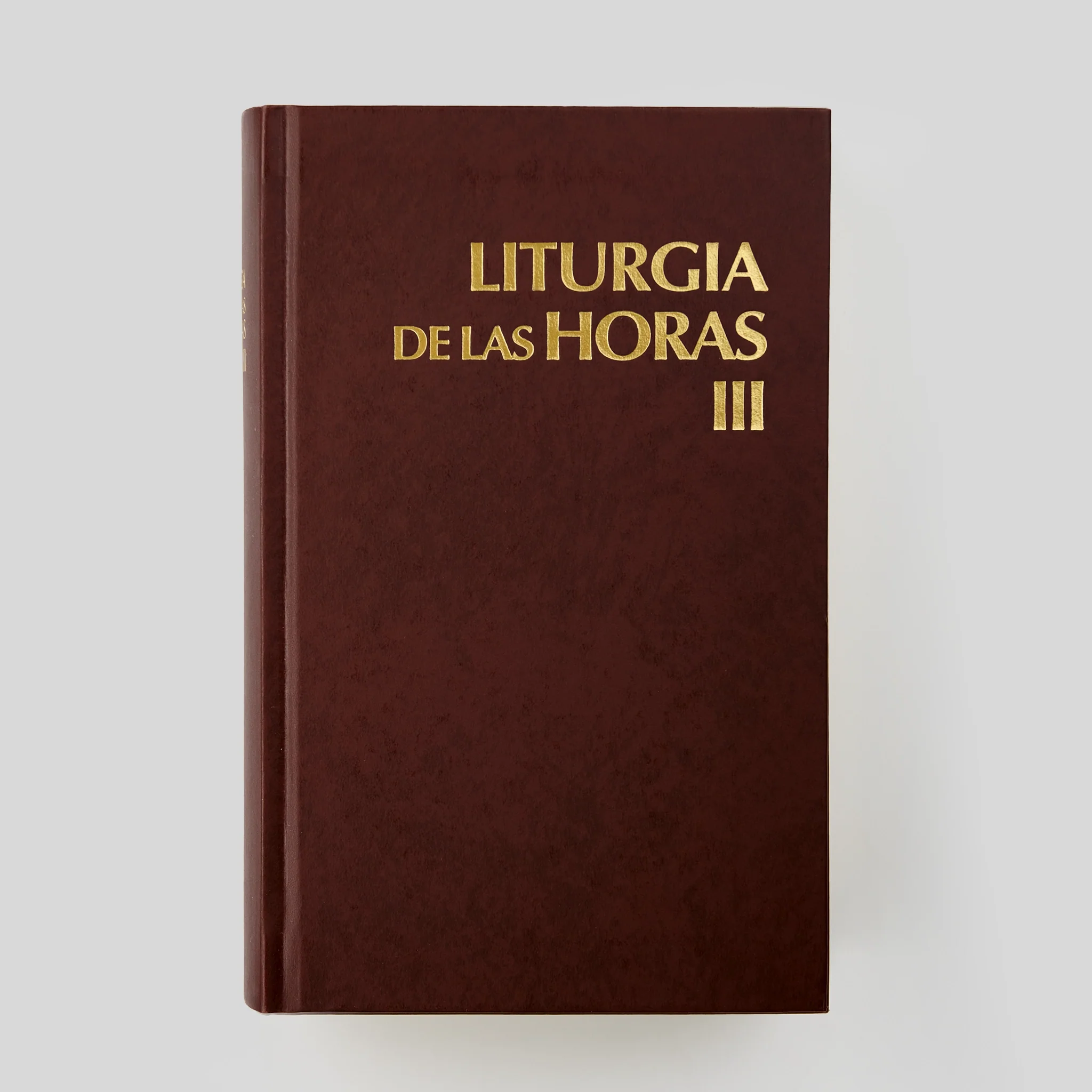 Liturgy of the Hours - Image 19