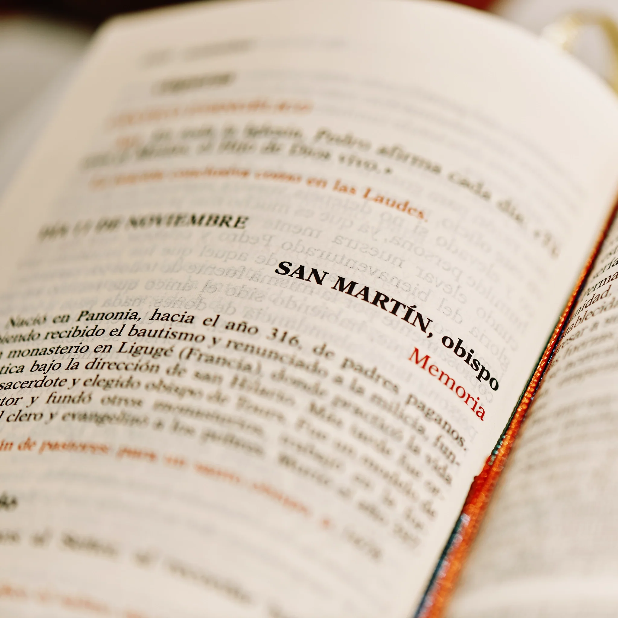 Liturgy of the Hours - Image 9