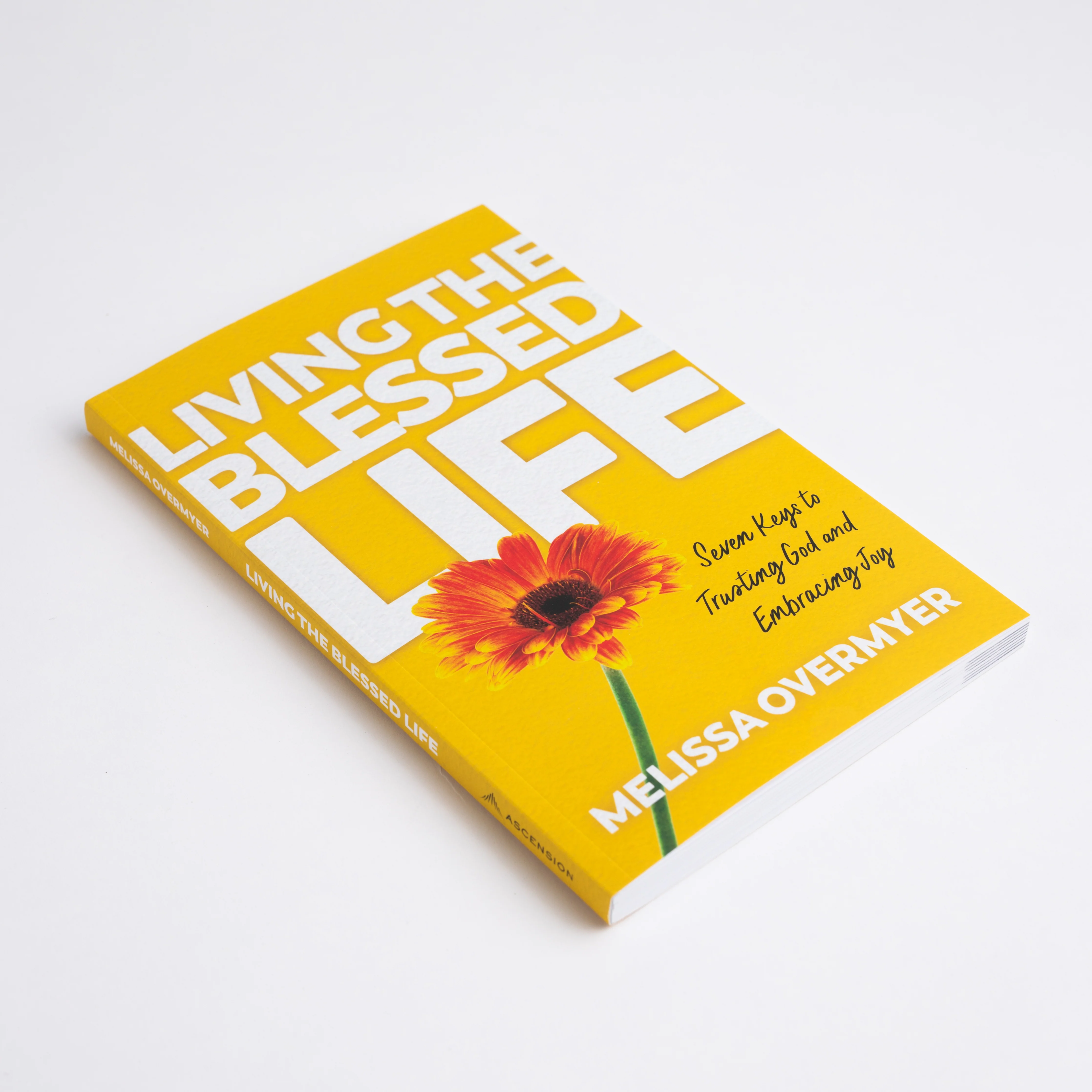 Living the Blessed Life: Seven Keys to Trusting God and Embracing Joy - Image 5