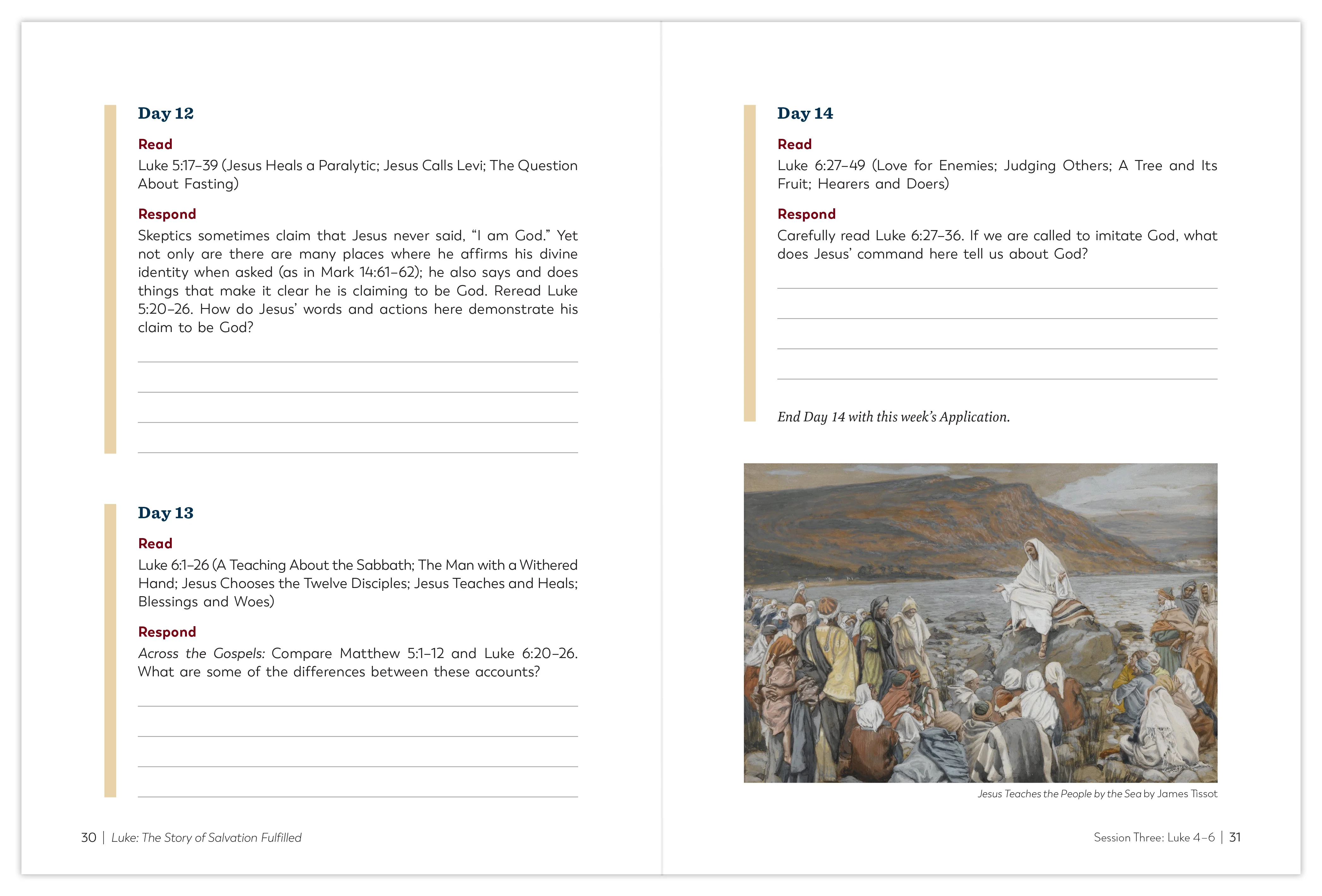 Luke: The Story of Salvation Fulfilled, Starter Pack - Image 4