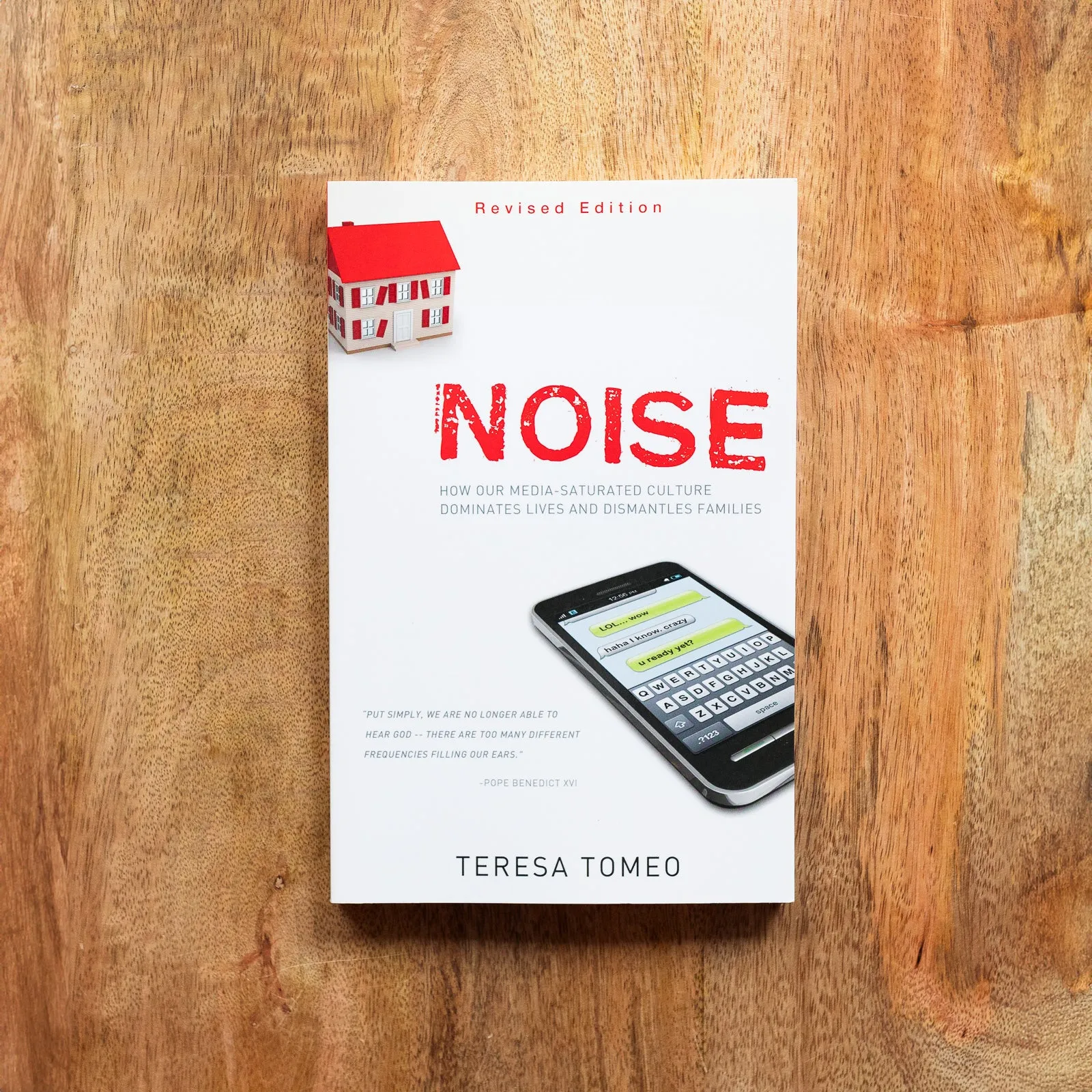 Noise: How Our Media-saturated Culture Dominates Lives and Dismantles Families - Image 4