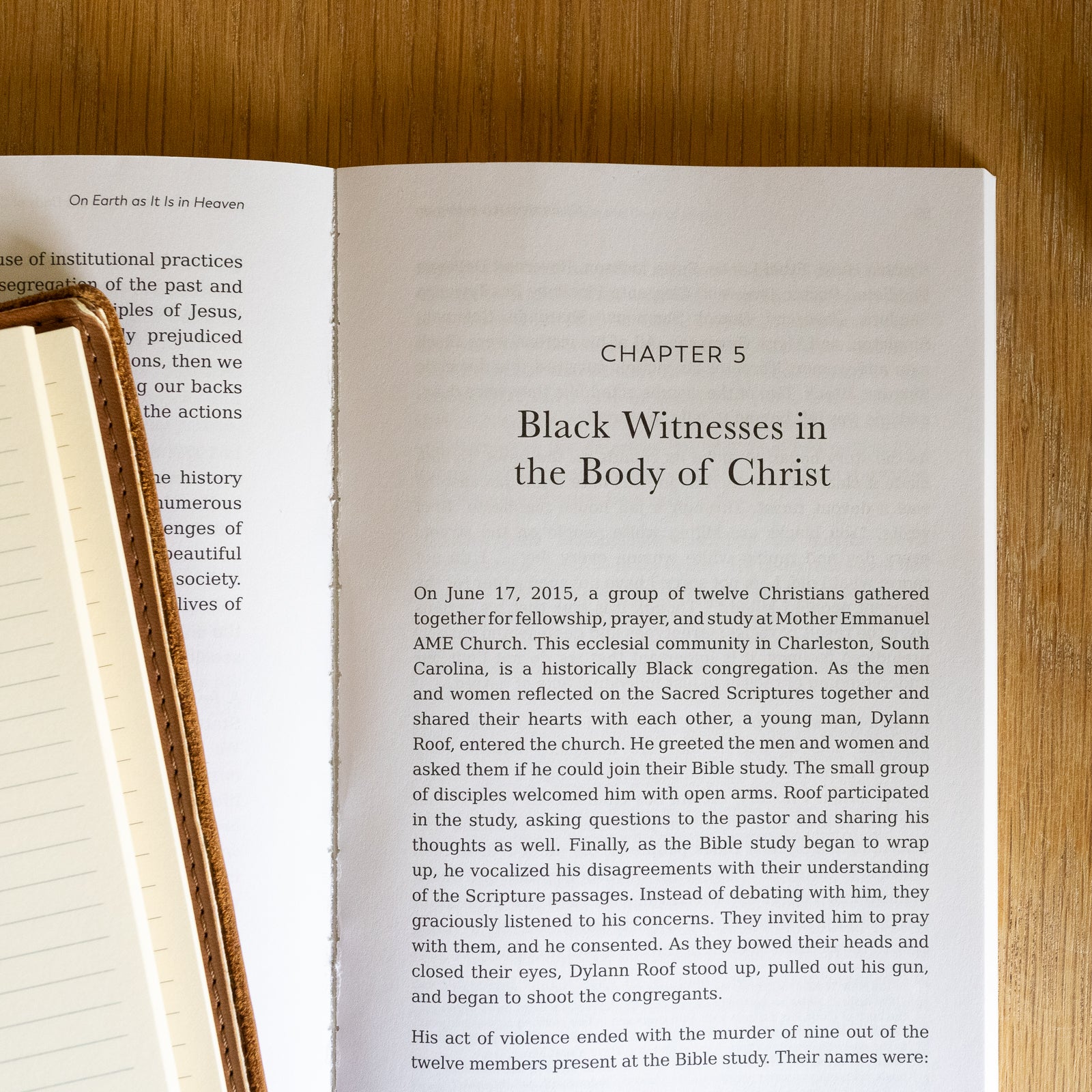 On Earth As It Is In Heaven: Restoring God’s Vision for Race and Discipleship - Image 5