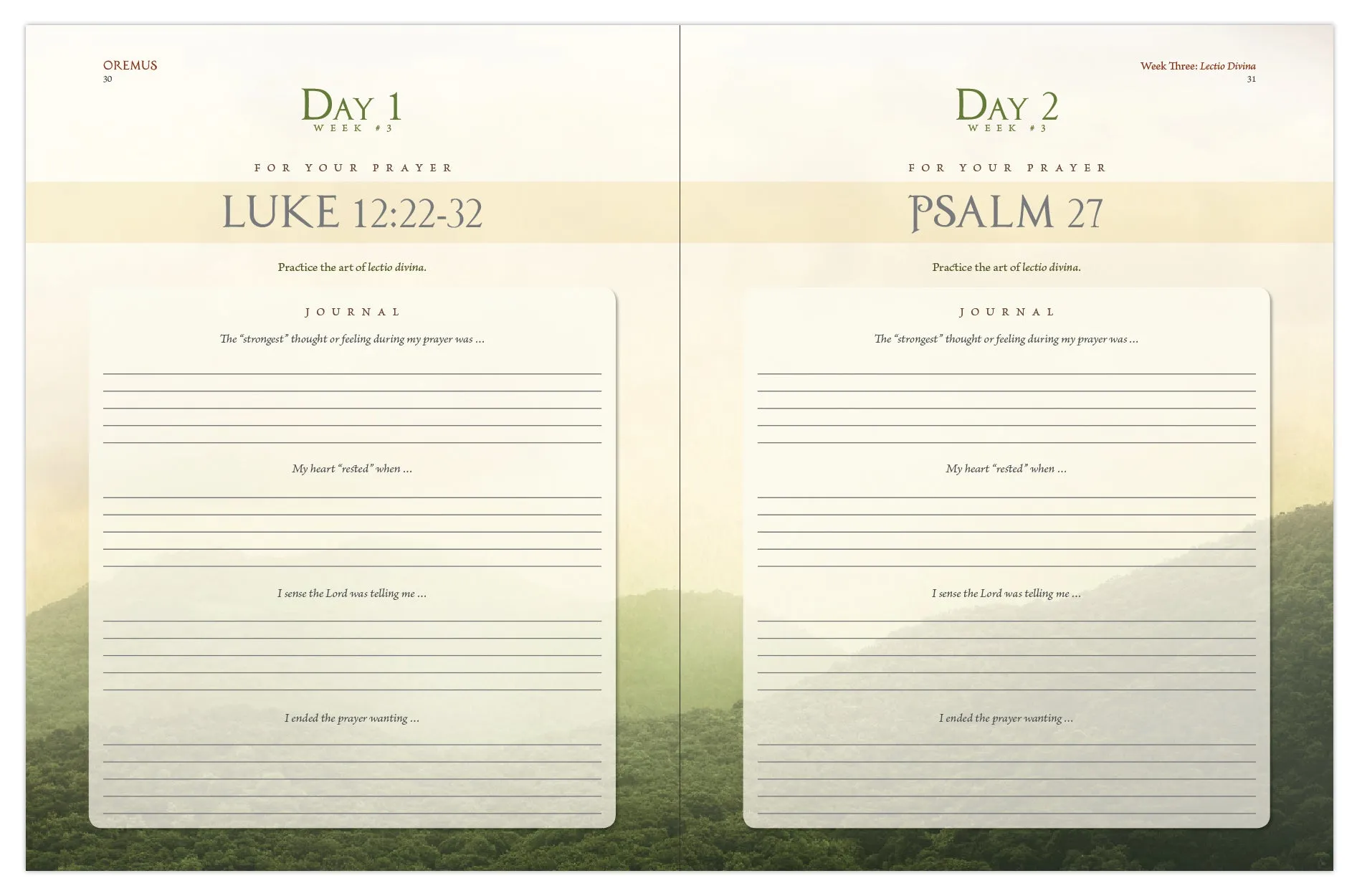 Oremus: A Guide to Catholic Prayer, Starter Pack - Image 5