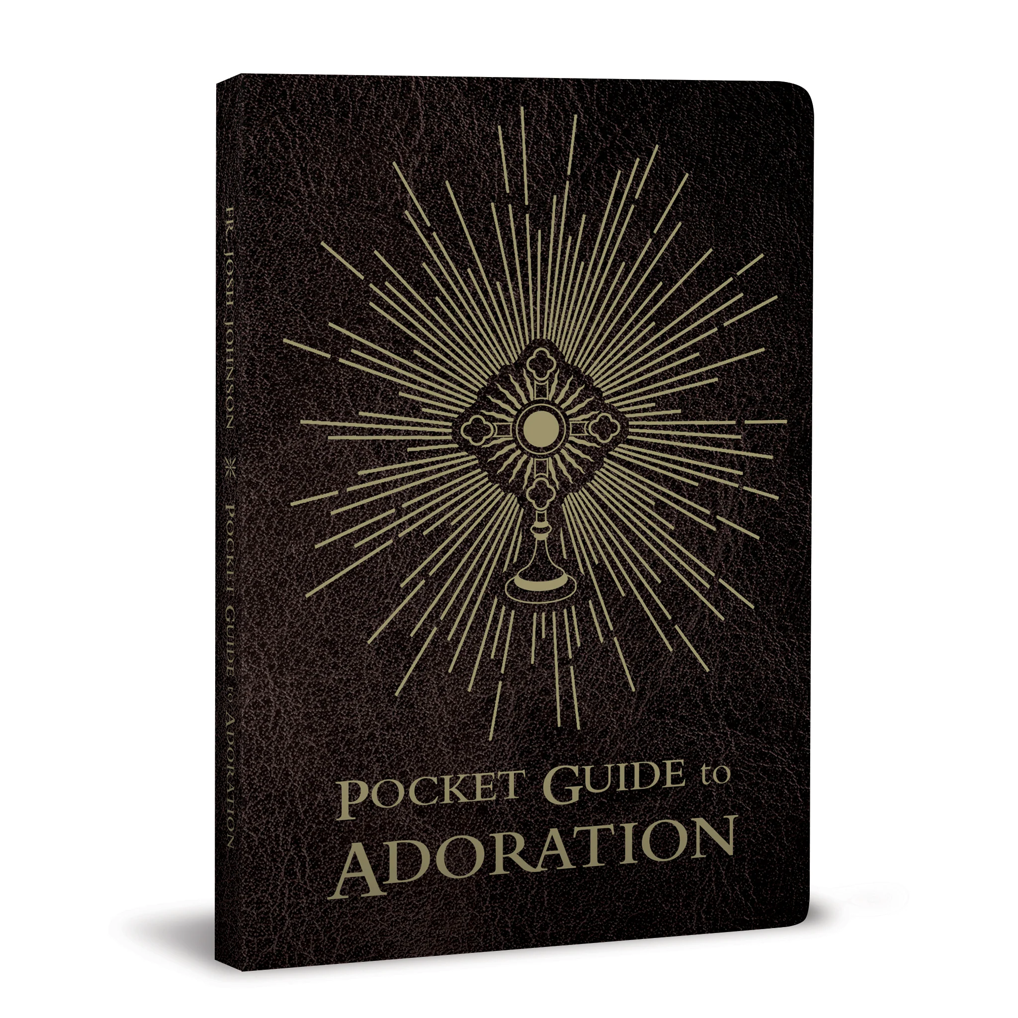 Pocket Guide to Adoration - Image 5