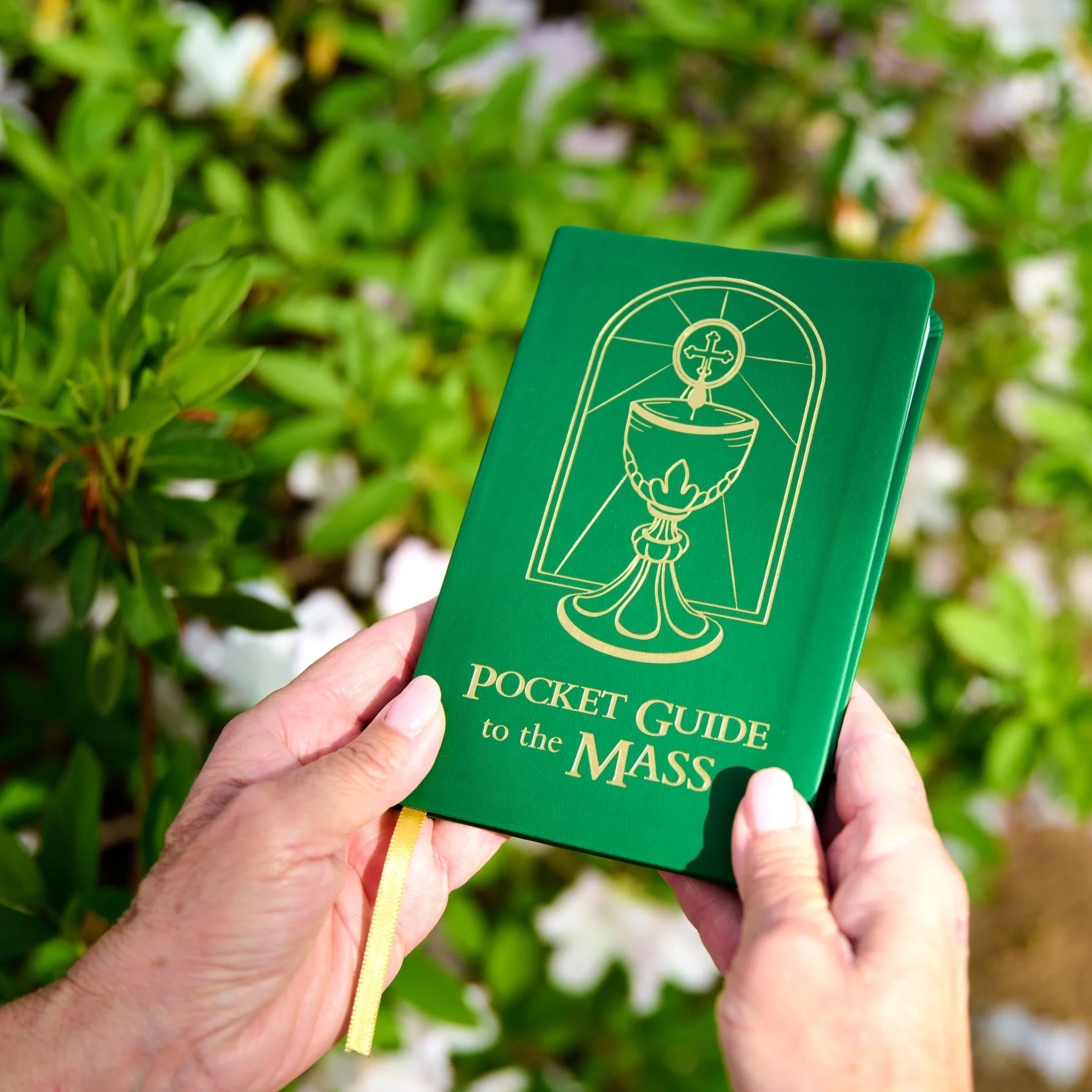 Pocket Guide to the Mass (Print) - Image 11