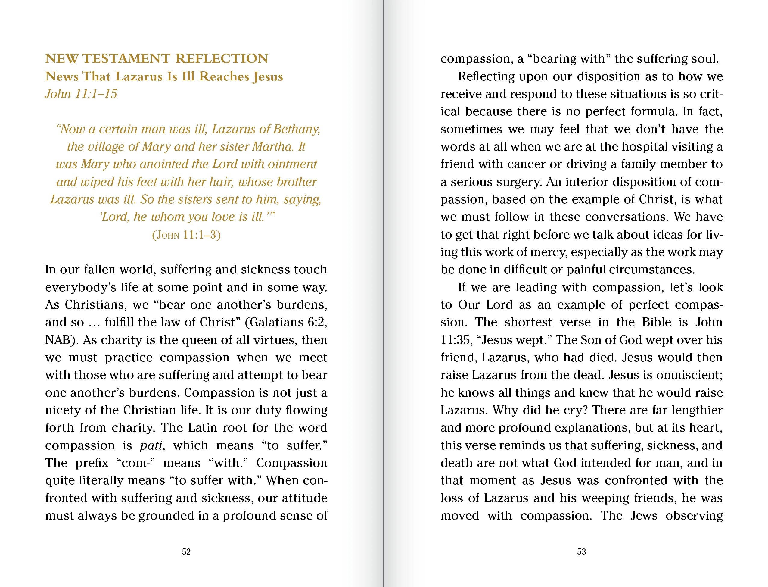 Pocket Guide to the Works of Mercy - Image 8