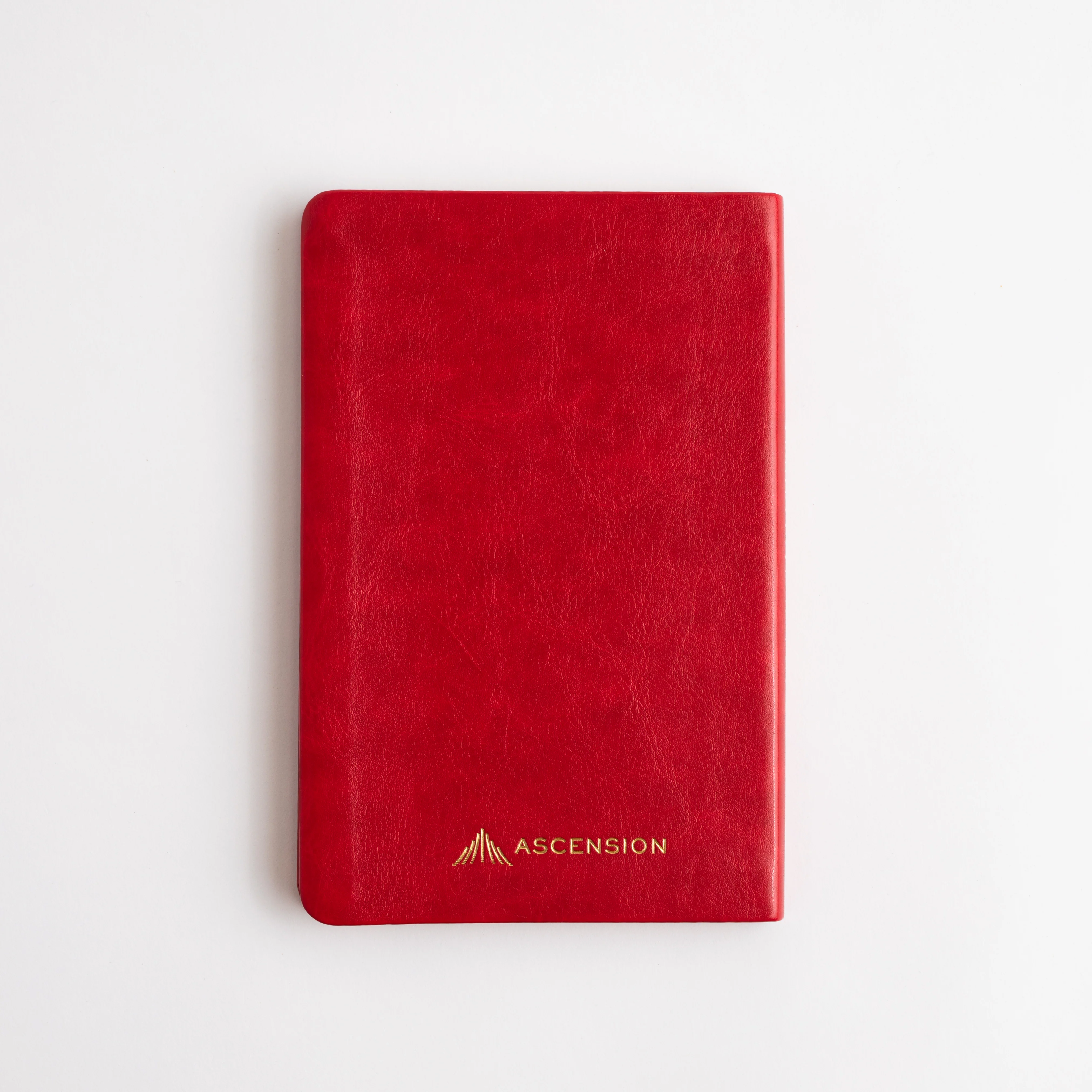 Prayers to Protect Us: A Collection of Prayers, Litanies, Hymns, and Readings - Image 2